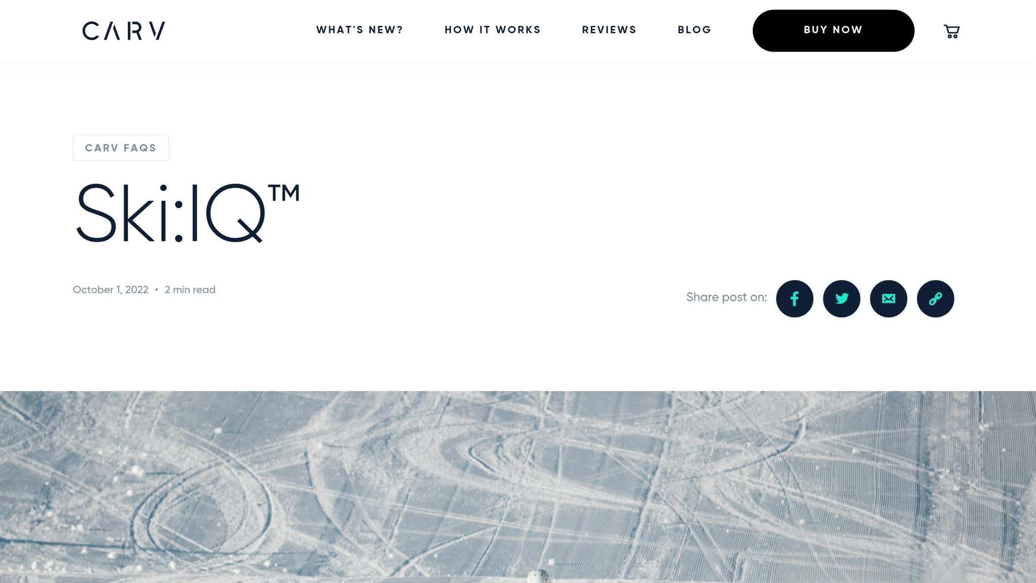 Carv Ski:IQ