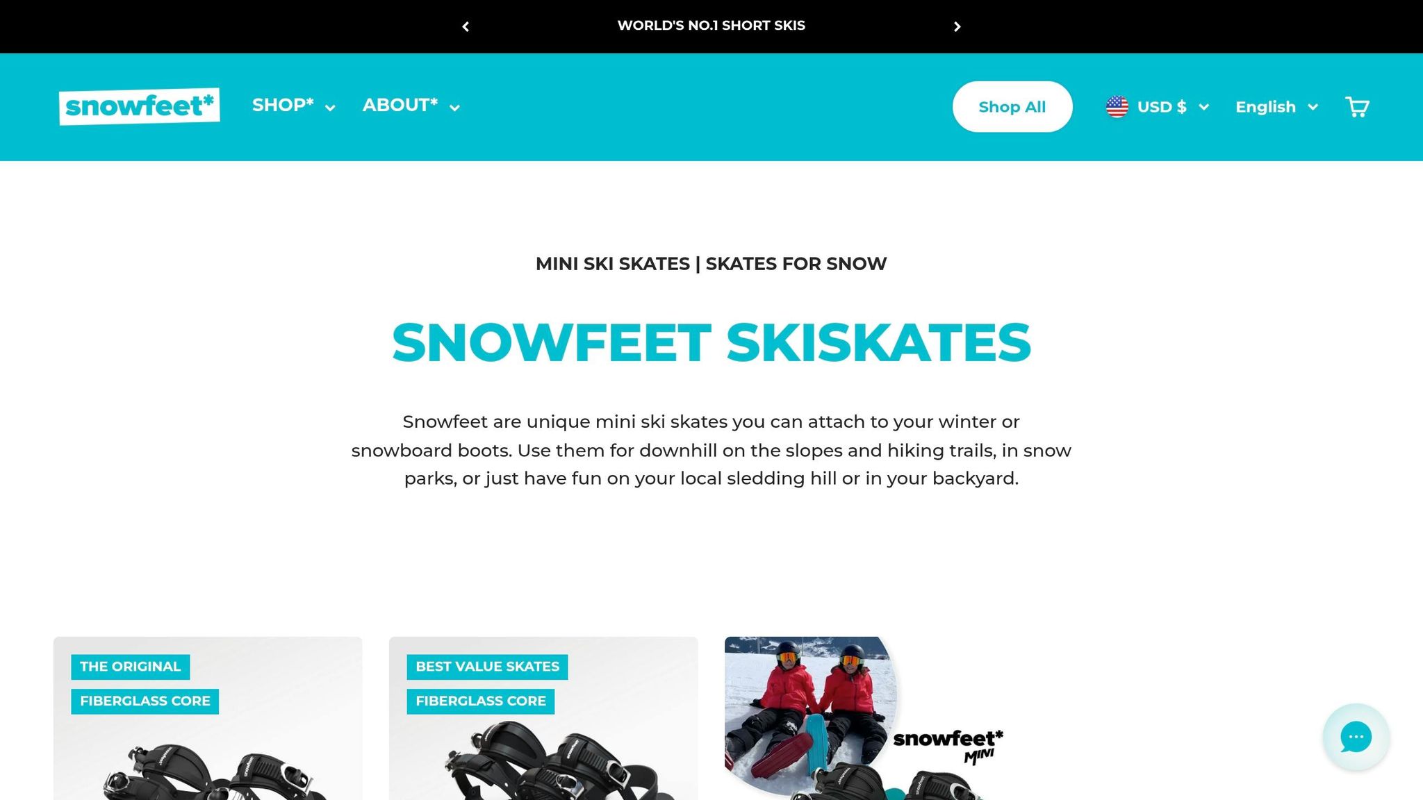 Mini Ski Skates
