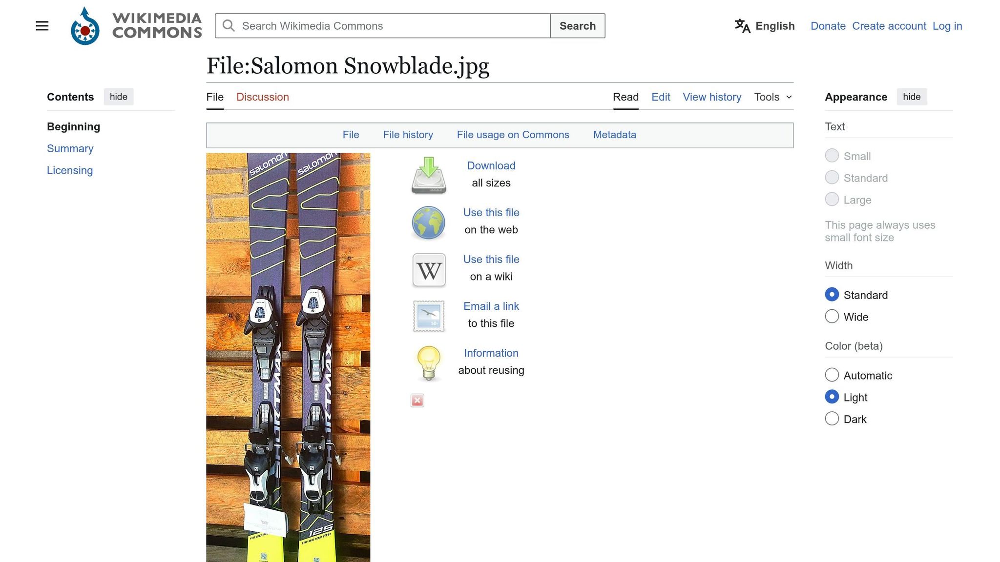 Salomon Snowblades