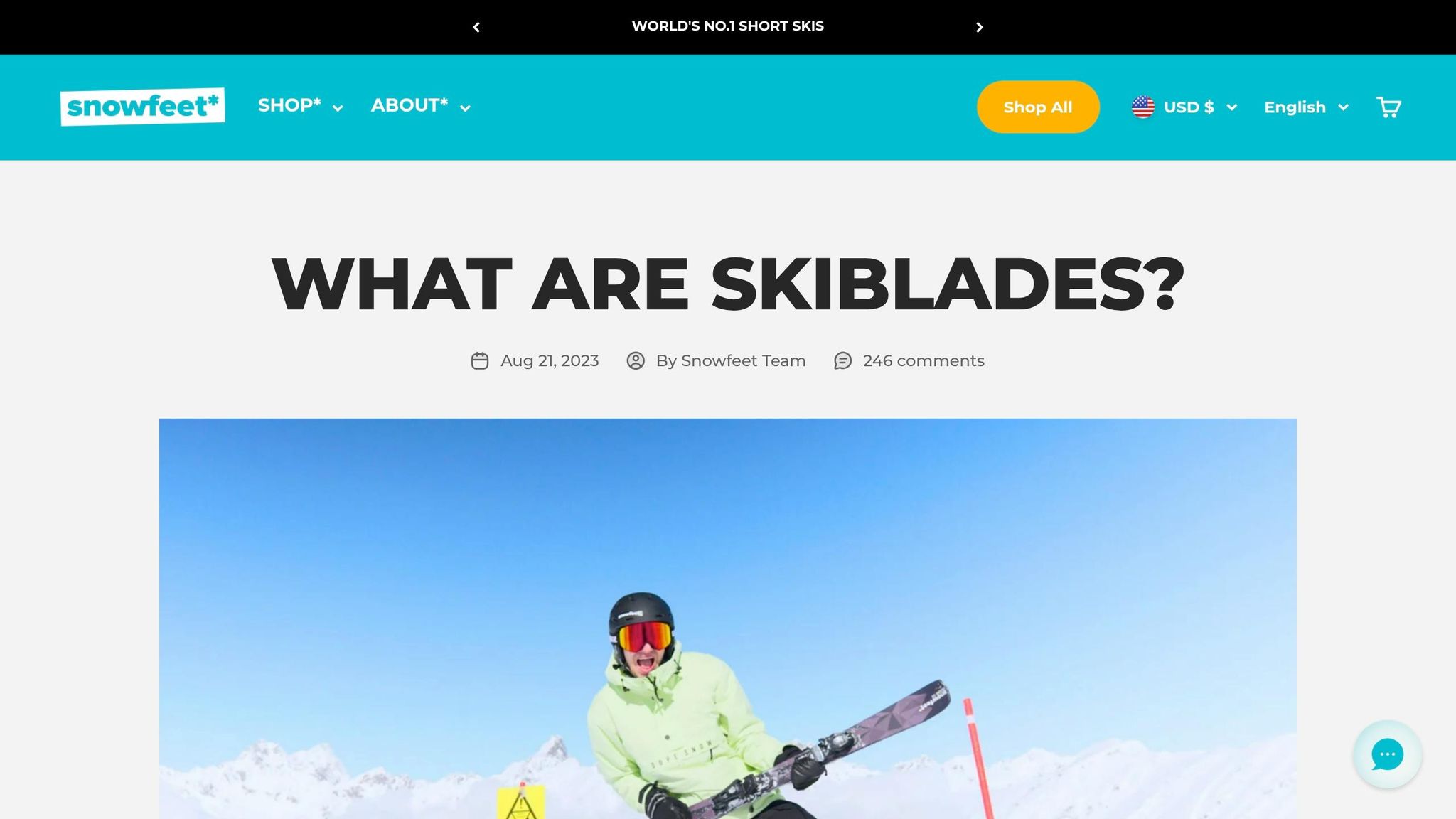 Skiblades