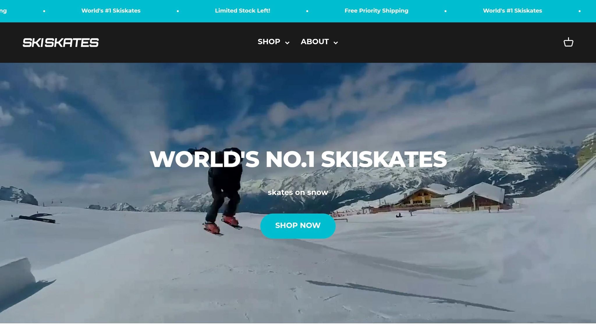 Skiskates