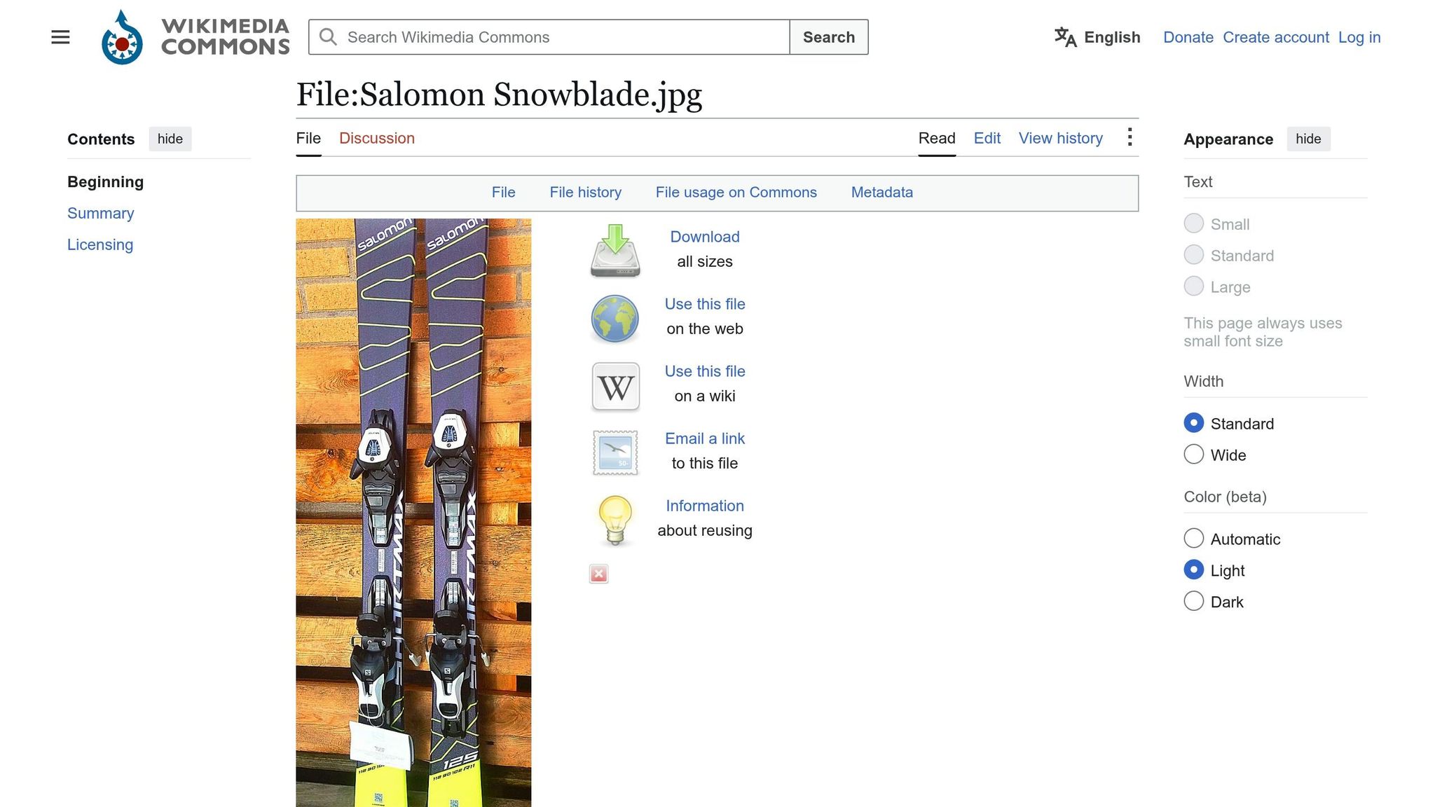 Salomon Snowblades