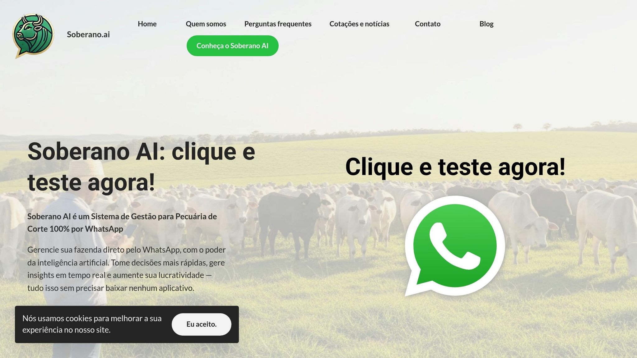 Soberano AI