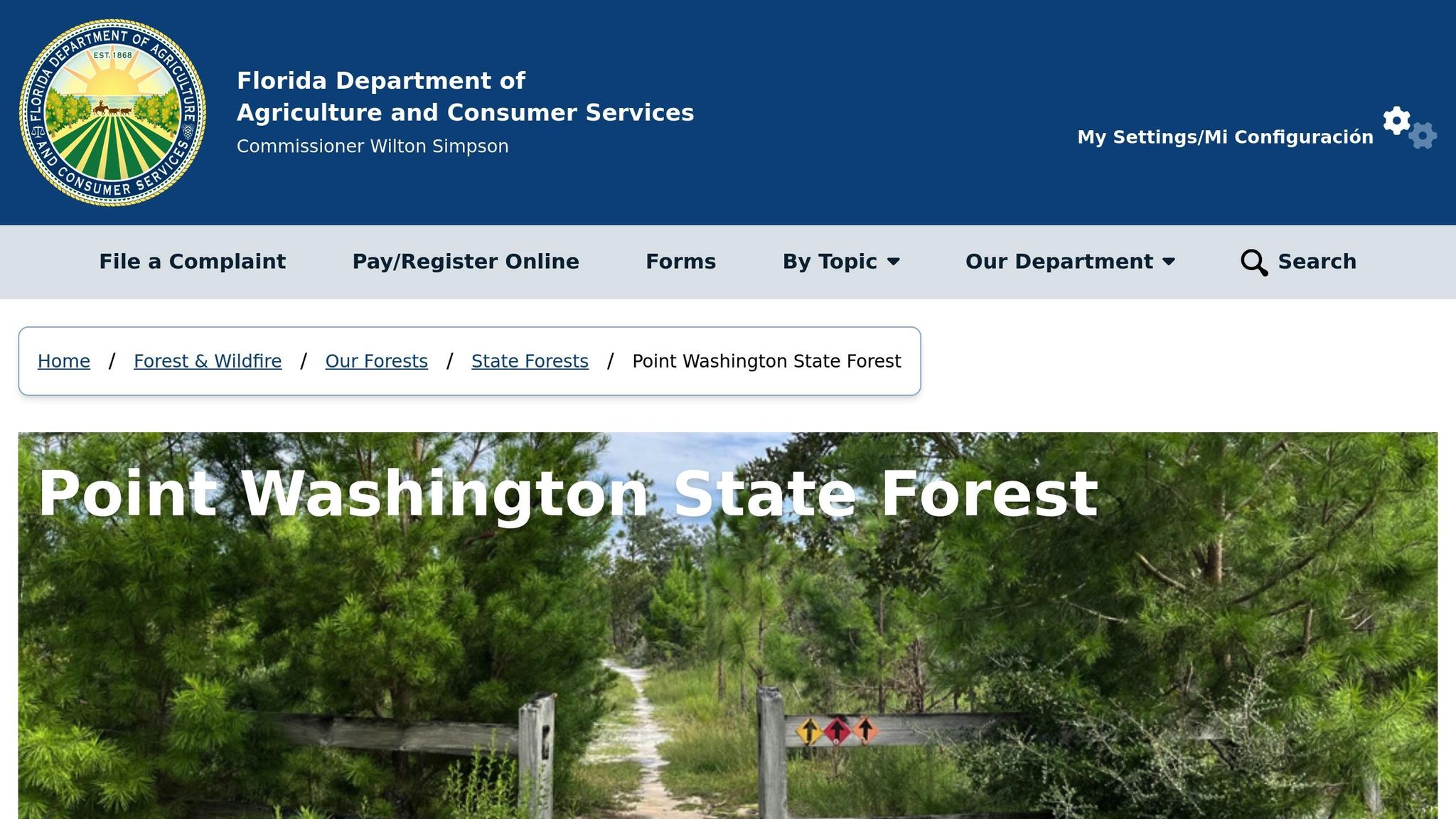 Point Washington State Forest