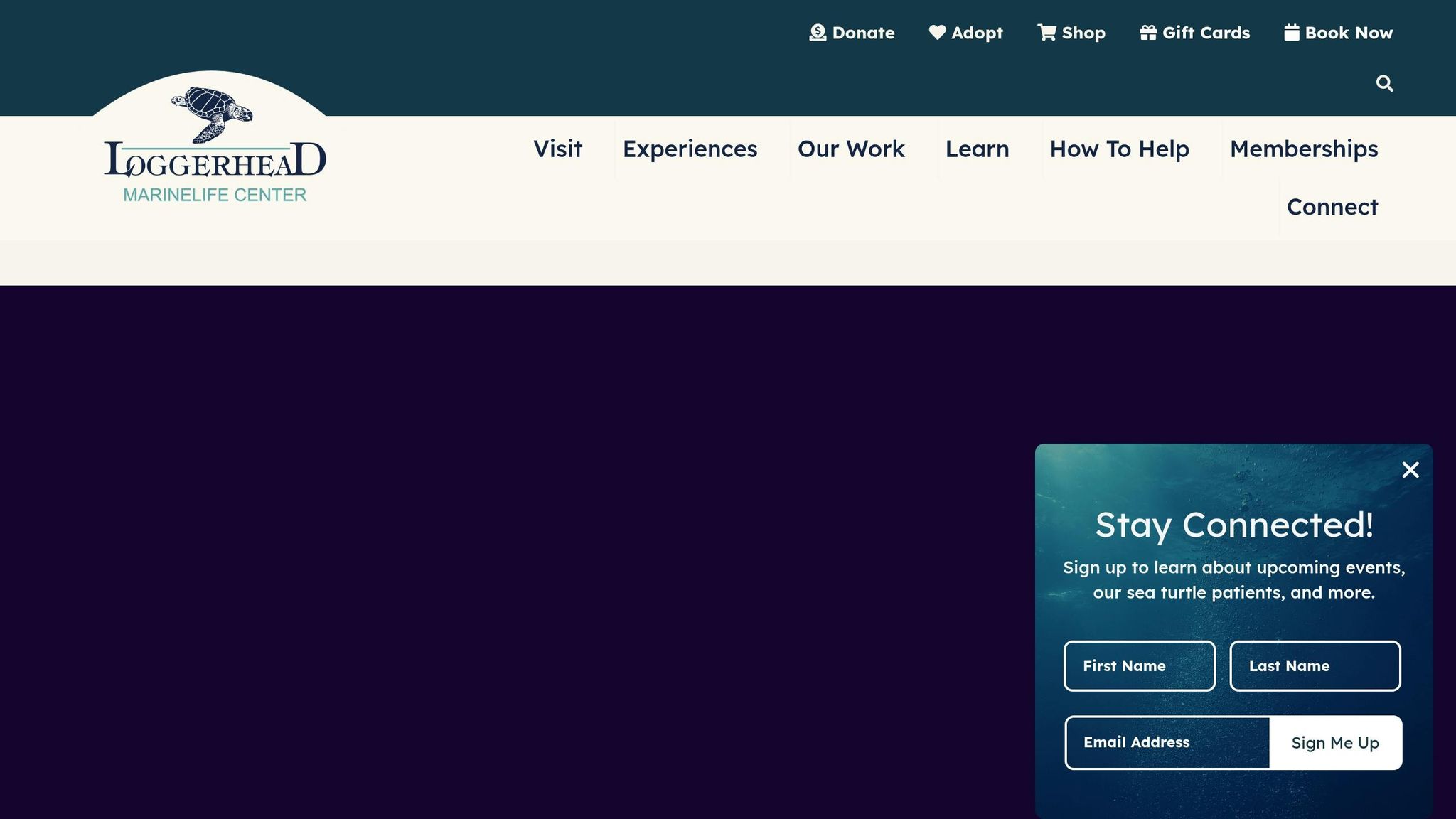 Loggerhead Marine Life Center