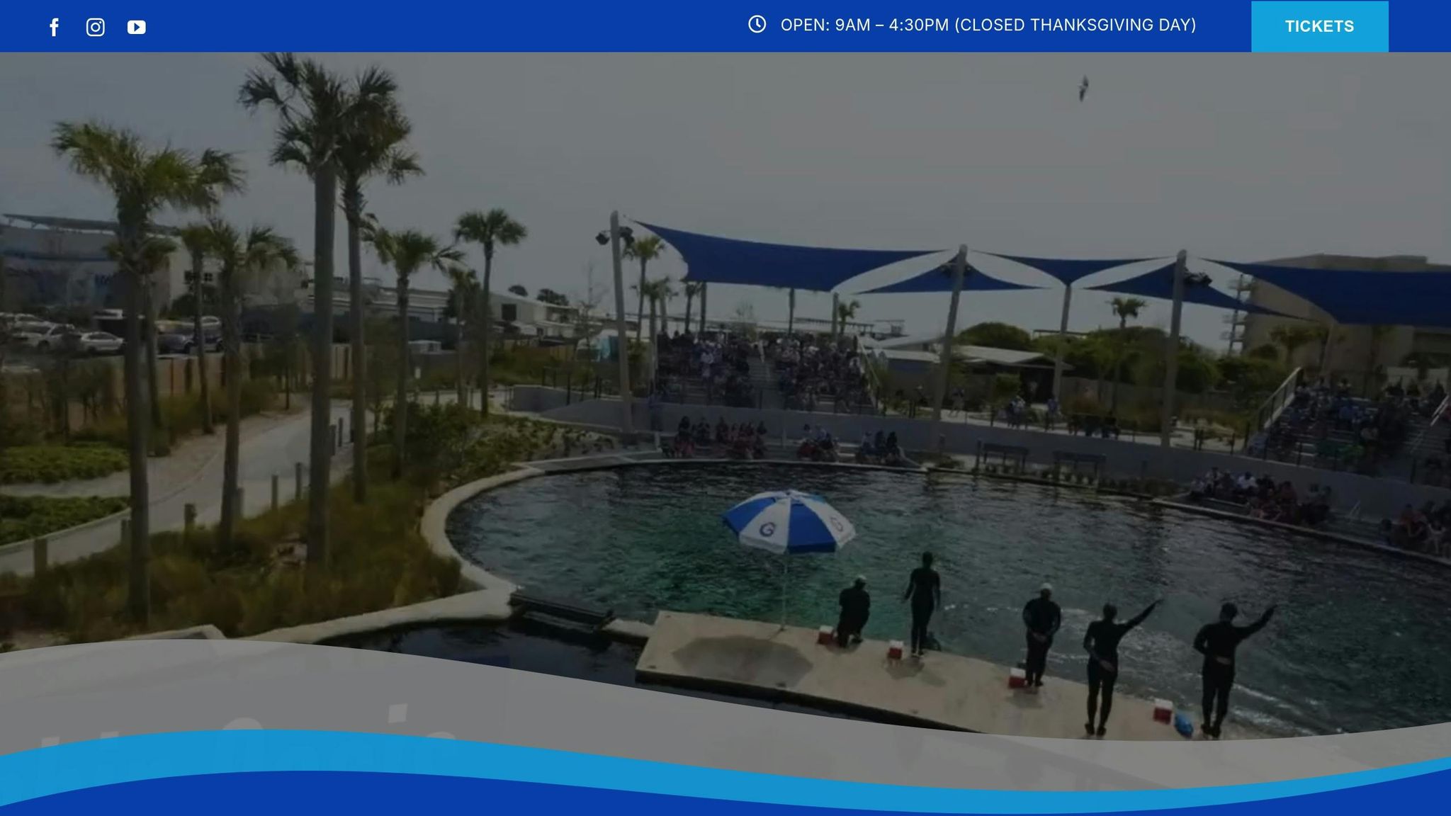 Gulfarium Marine Adventure Park