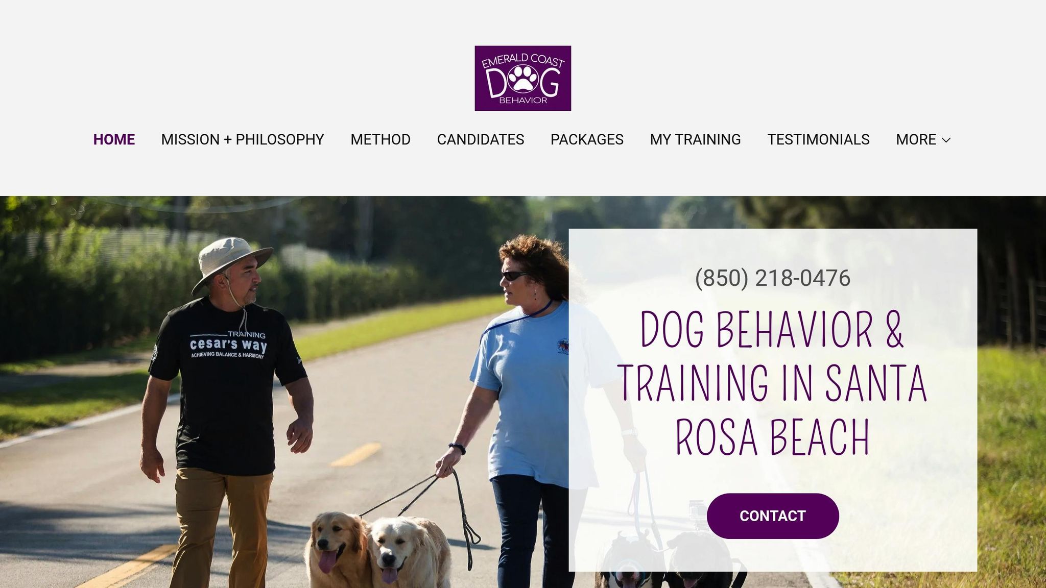 Emerald Coast Dog Behavior