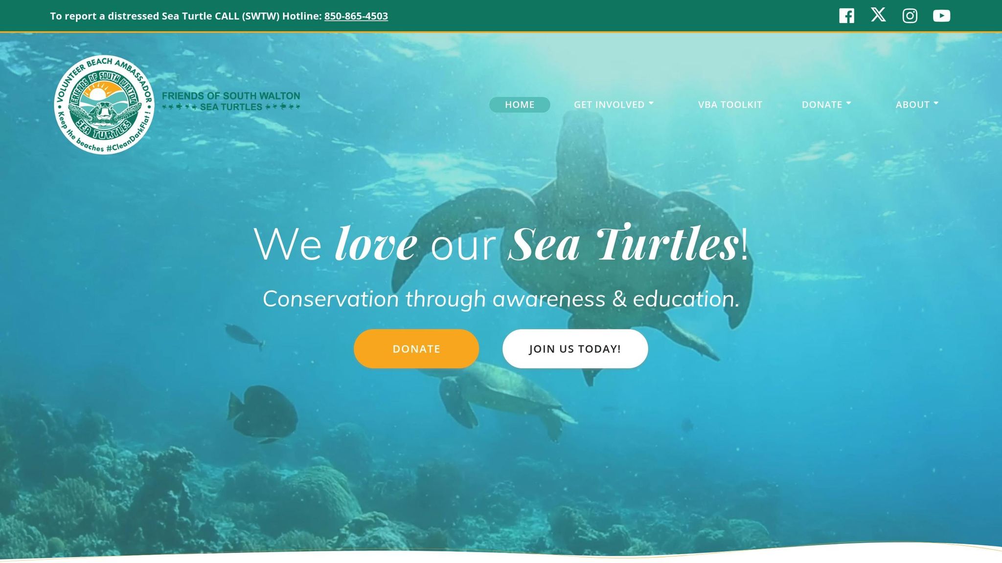 Friends of South Walton Sea Turtles