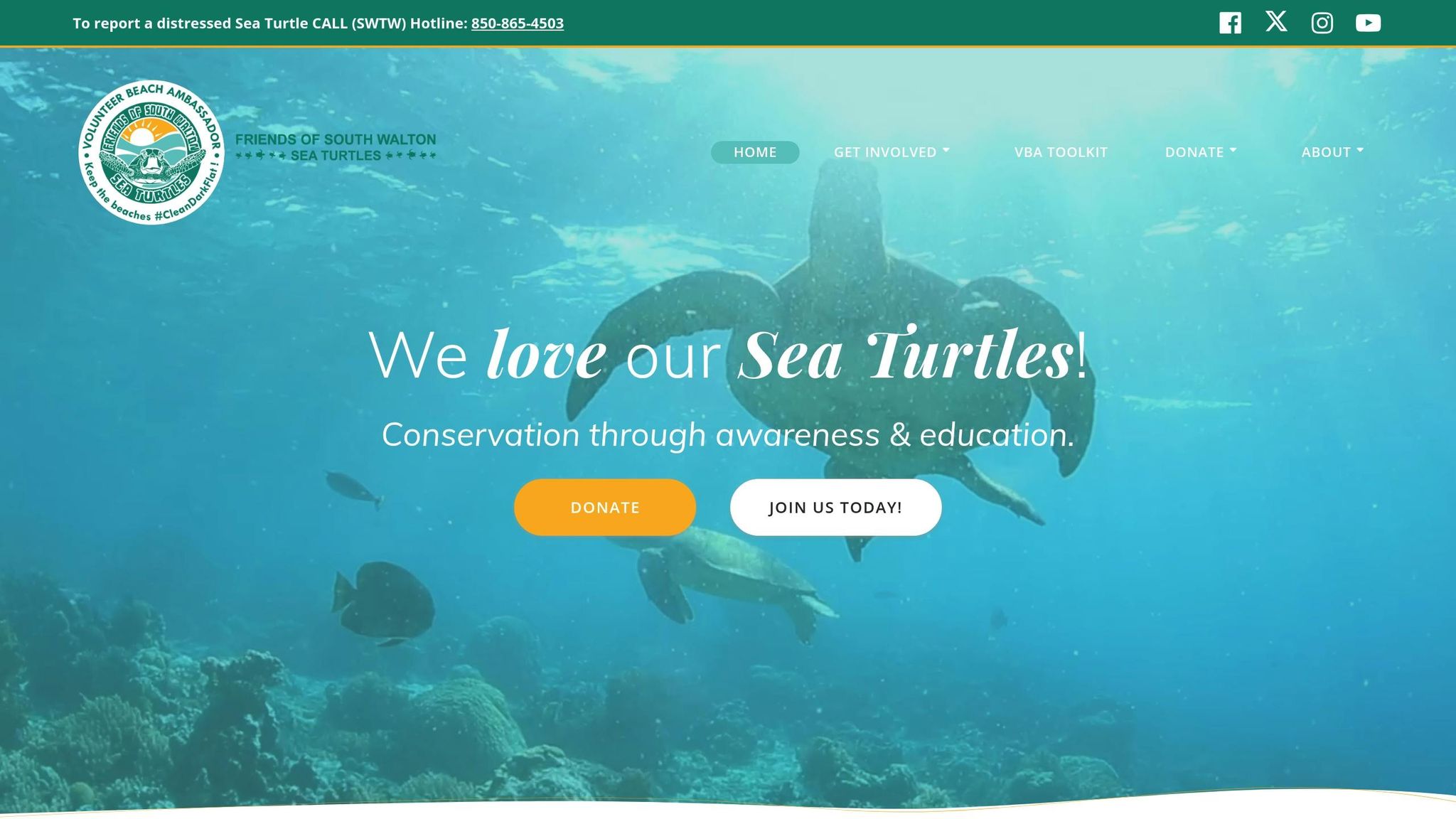 Friends of South Walton Sea Turtles