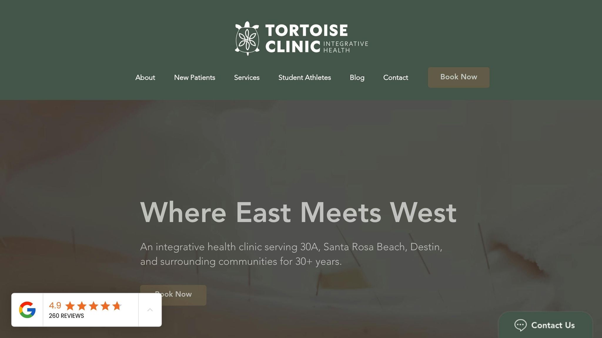 Tortoise Clinic