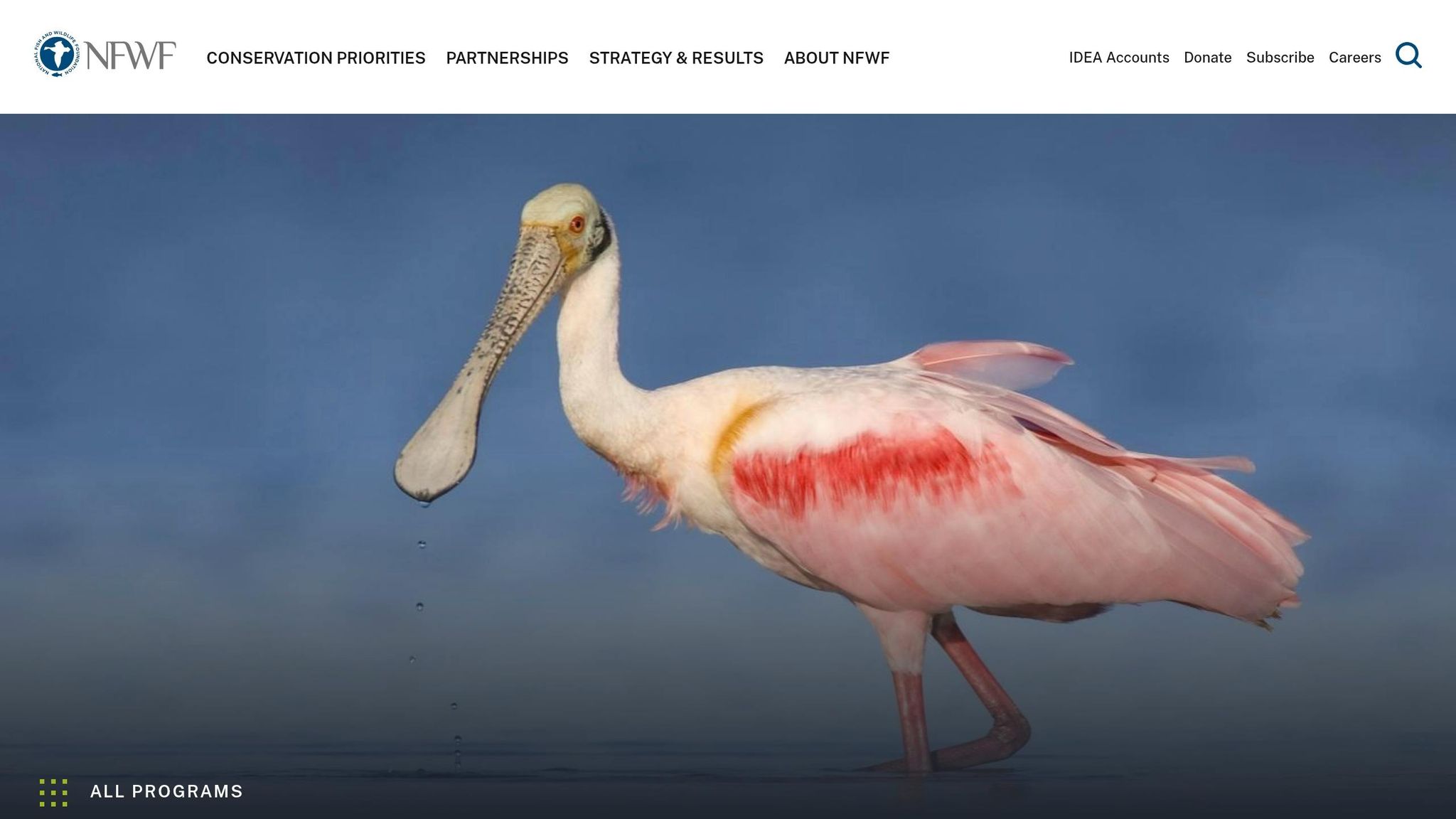 National Coastal Resilience Fund