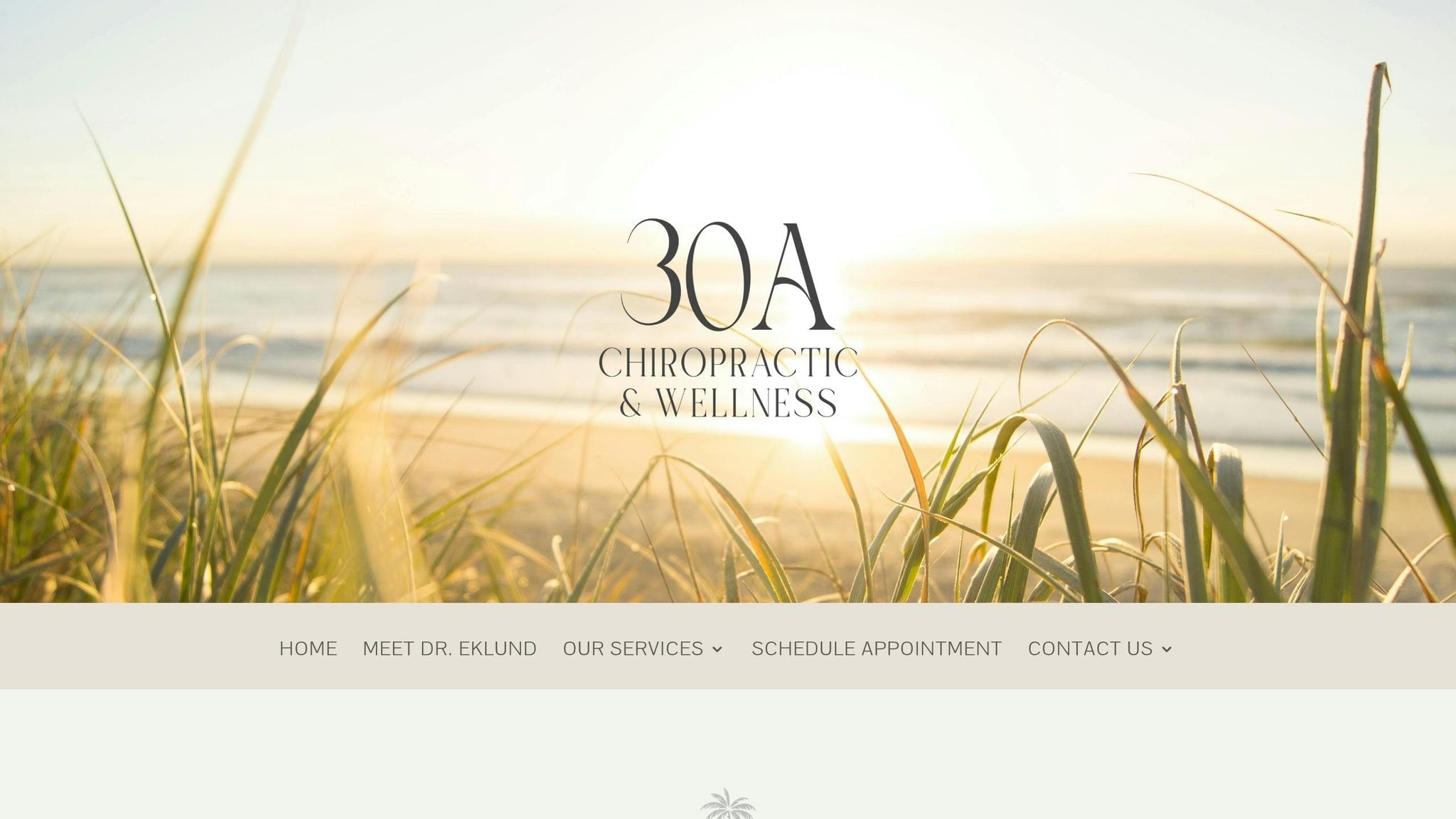 30-A Chiropractic