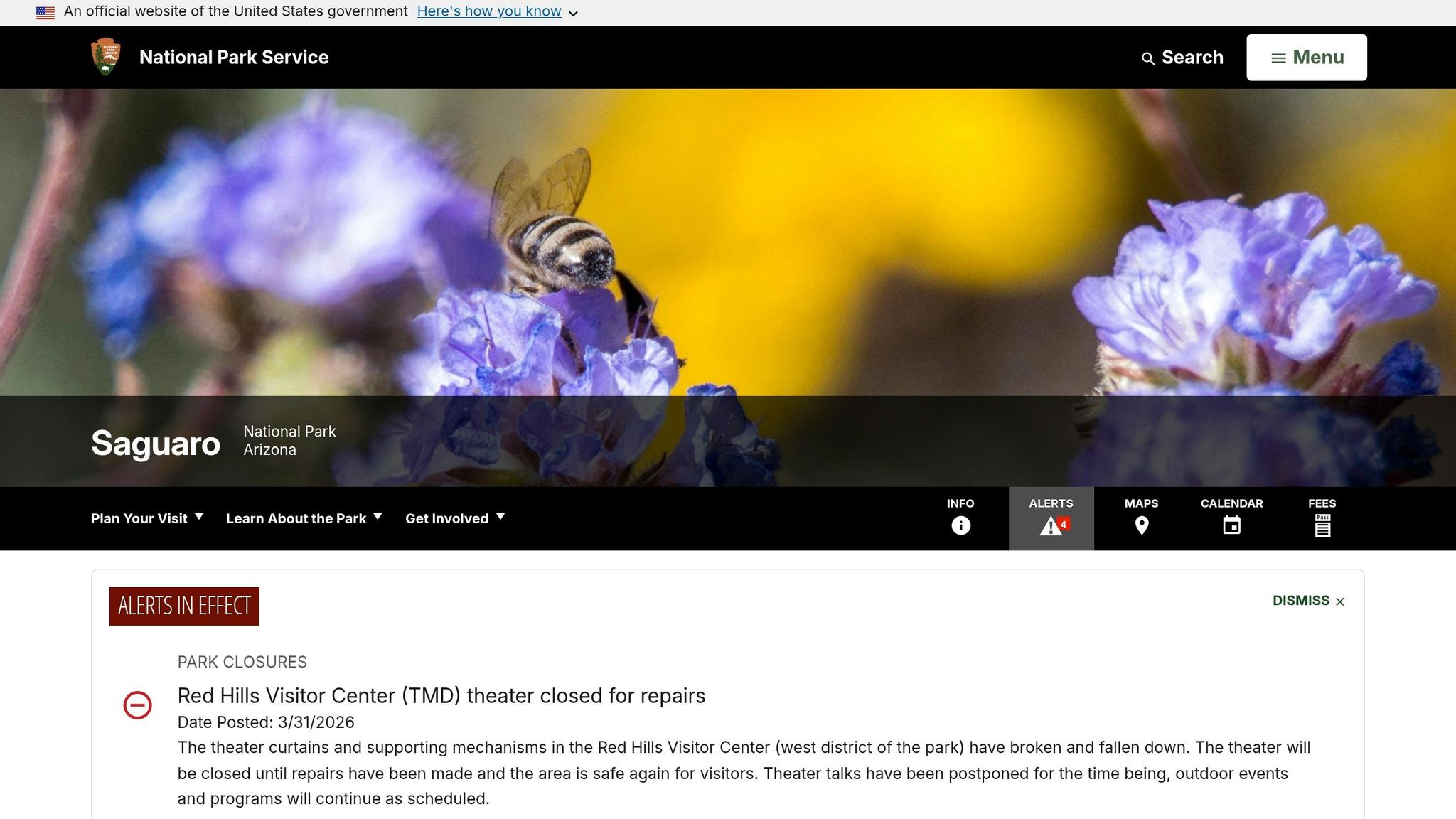 Saguaro National Park