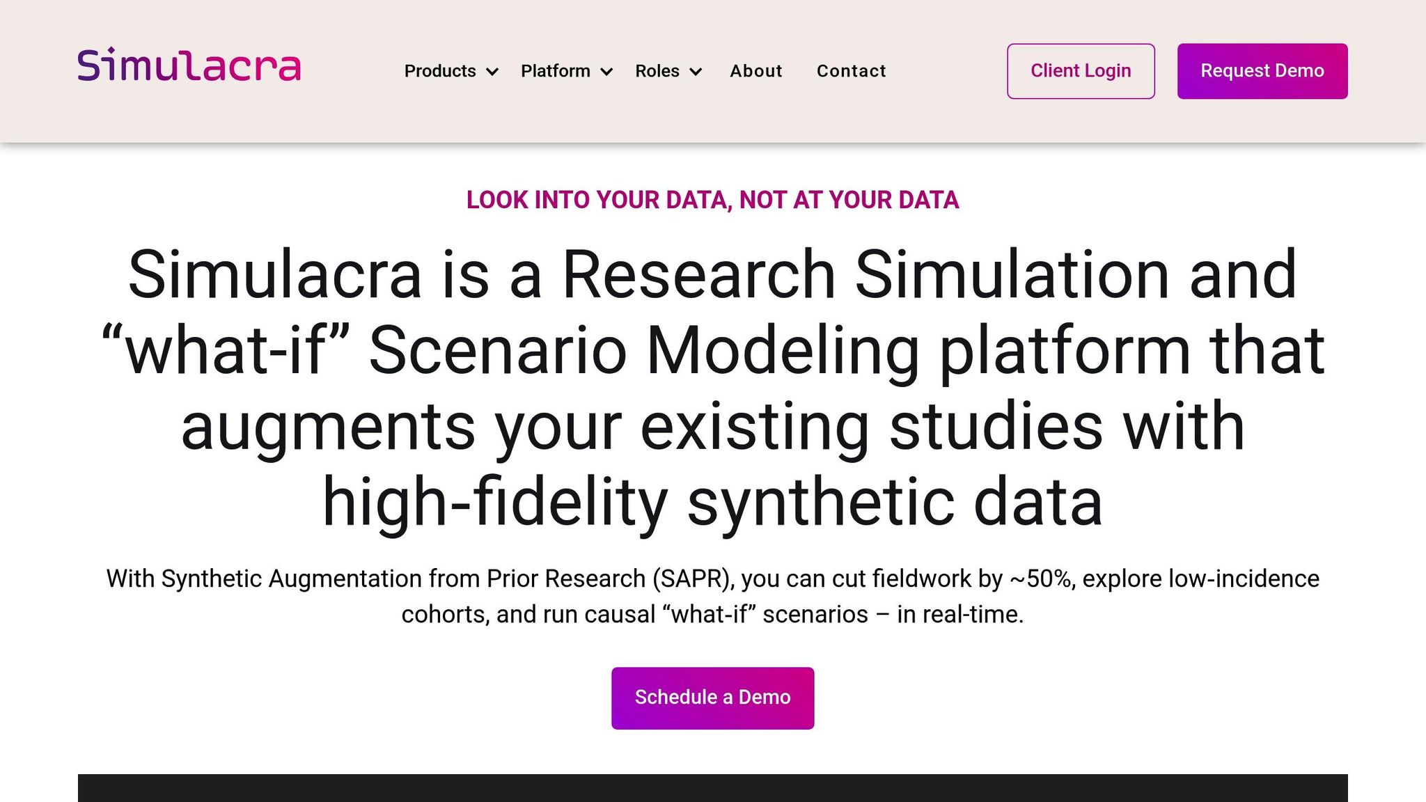 Simulacra Synthetic Data Studio
