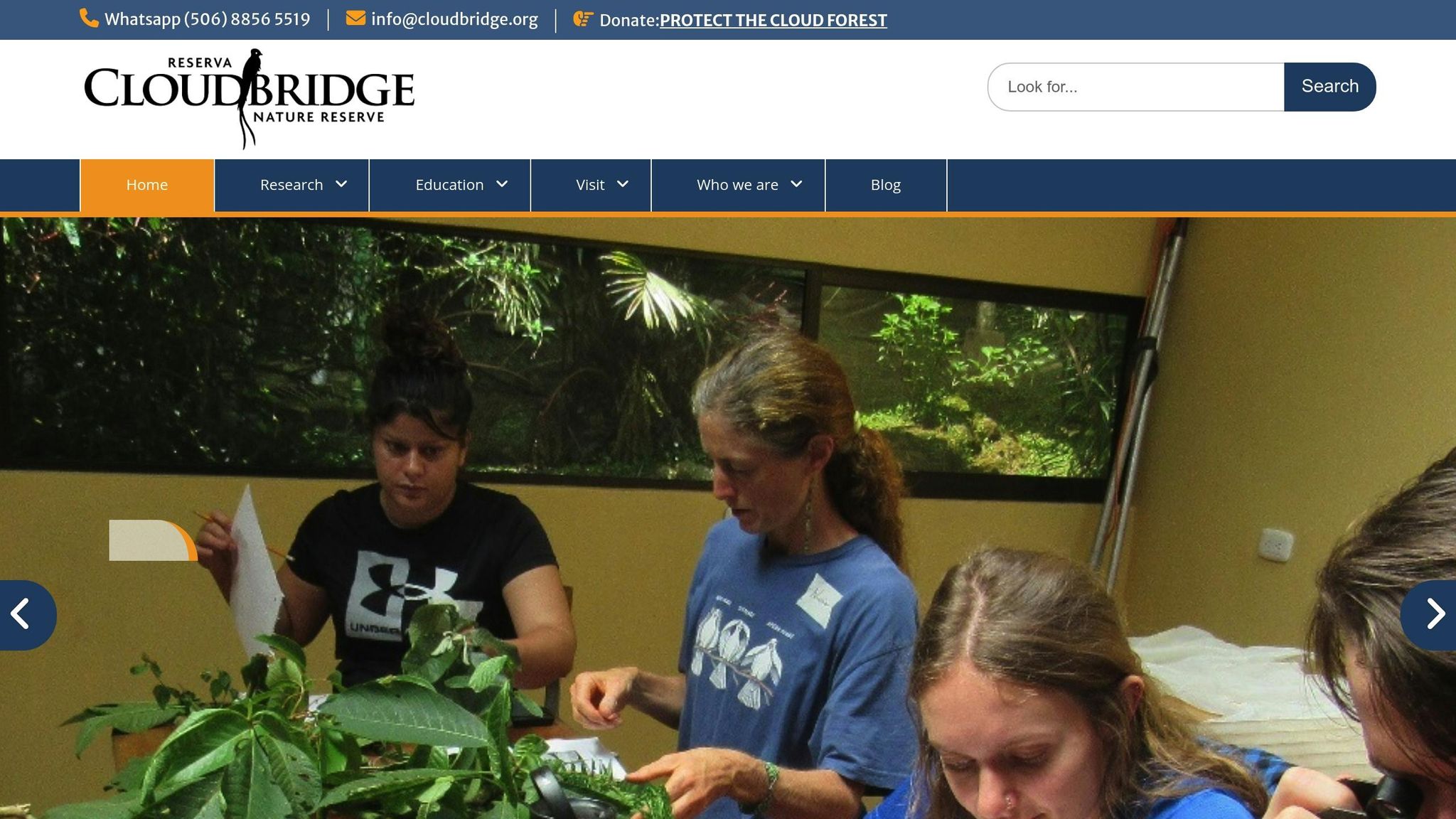 Cloudbridge Nature Reserve