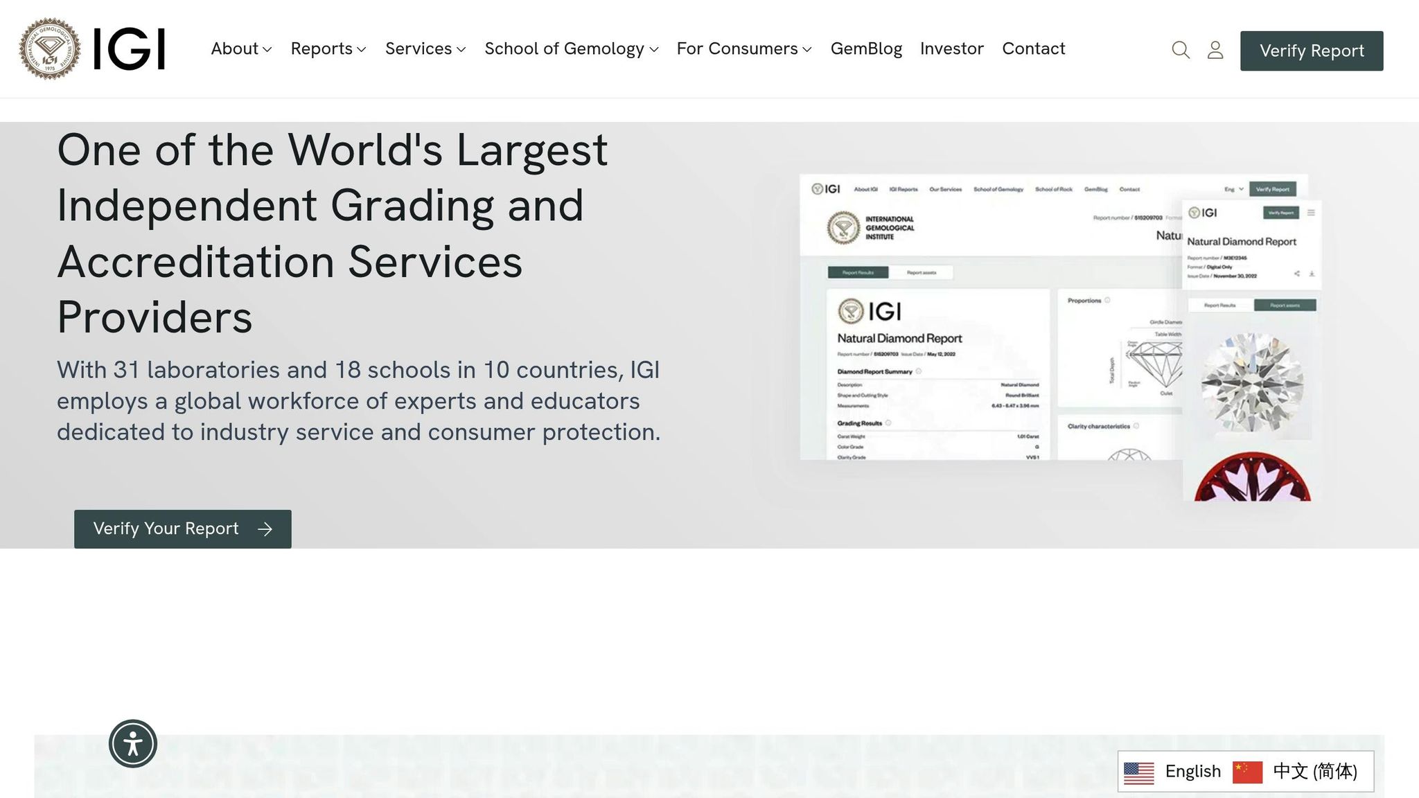 International Gemological Institute