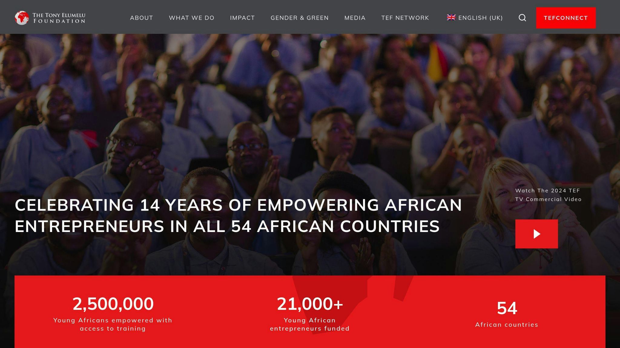 Tony Elumelu Foundation