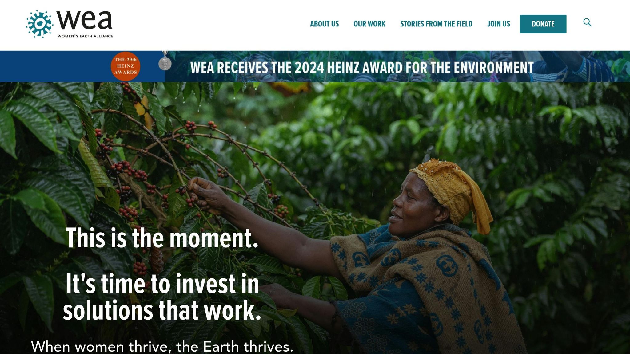 Women's Earth Alliance