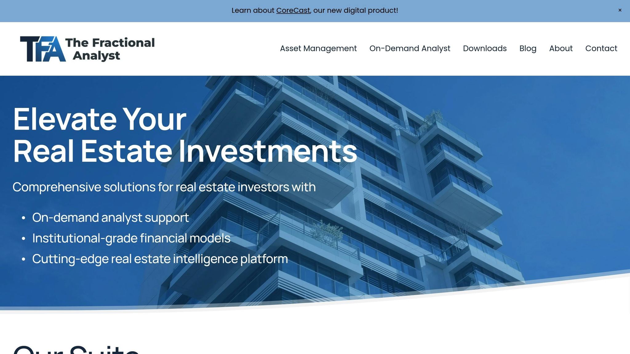 The Fractional Analyst