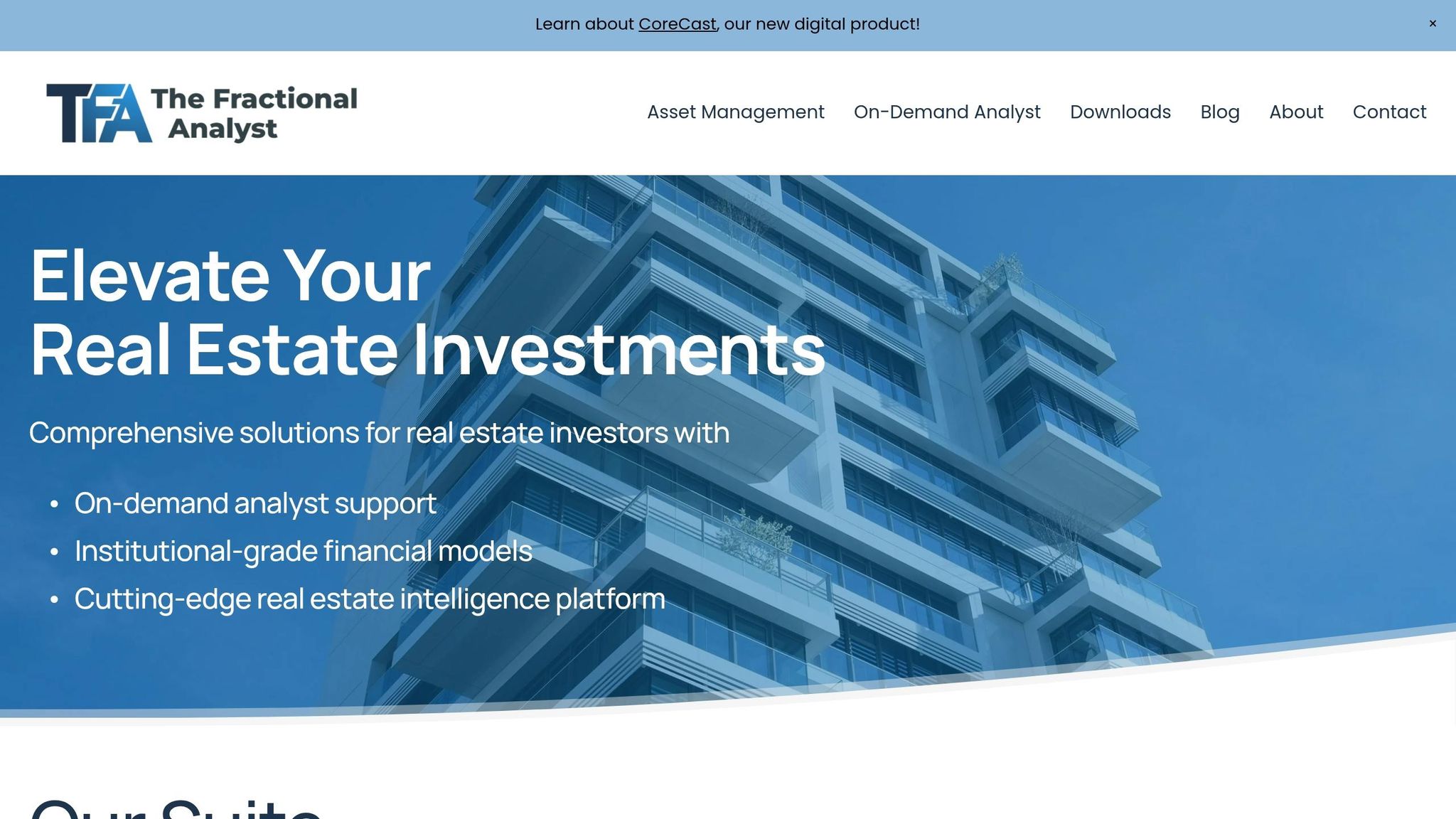 The Fractional Analyst