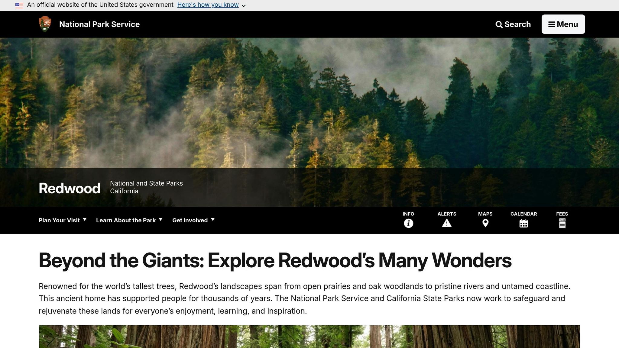 Redwood National Park