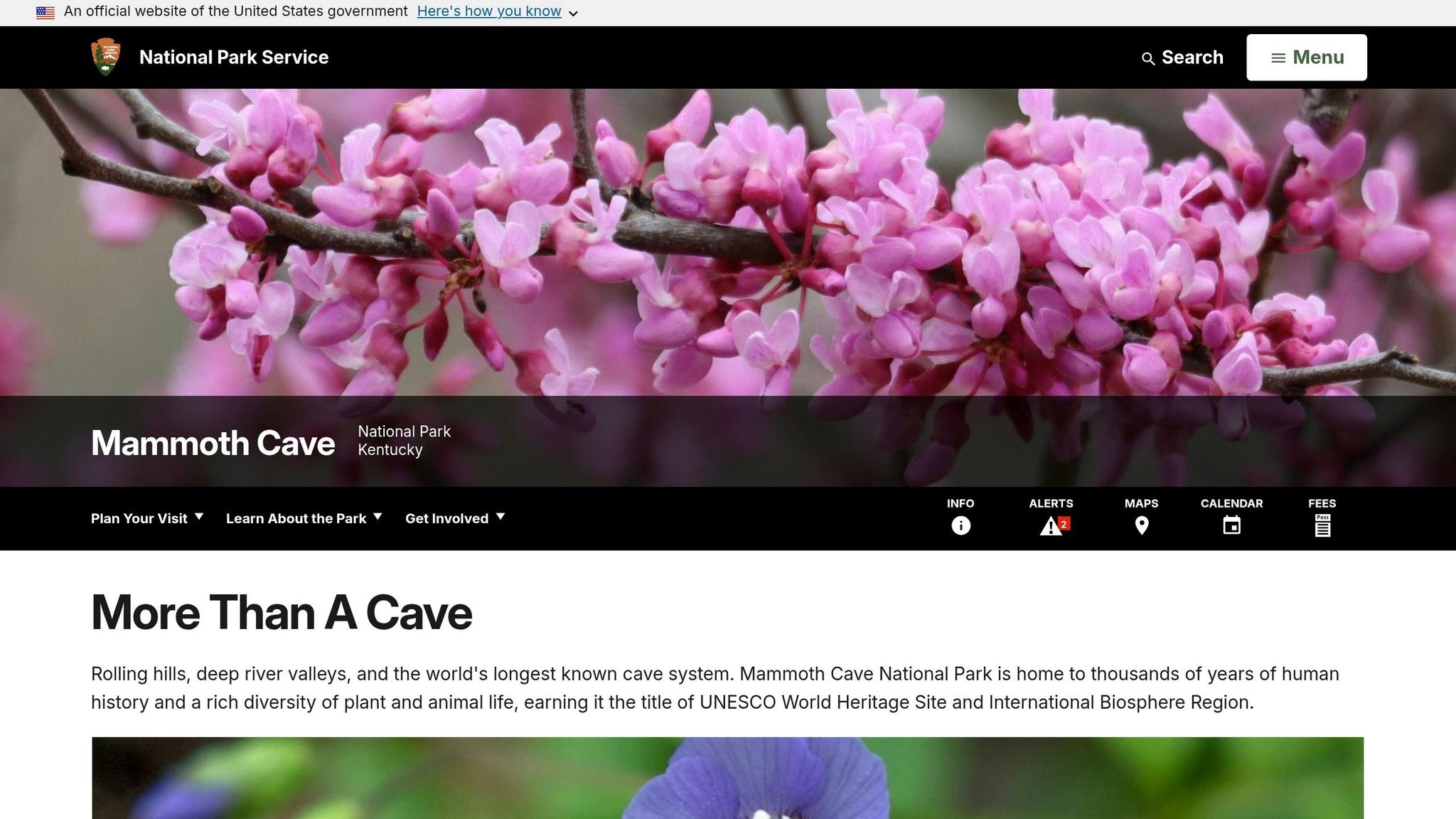 Mammoth Cave National Park