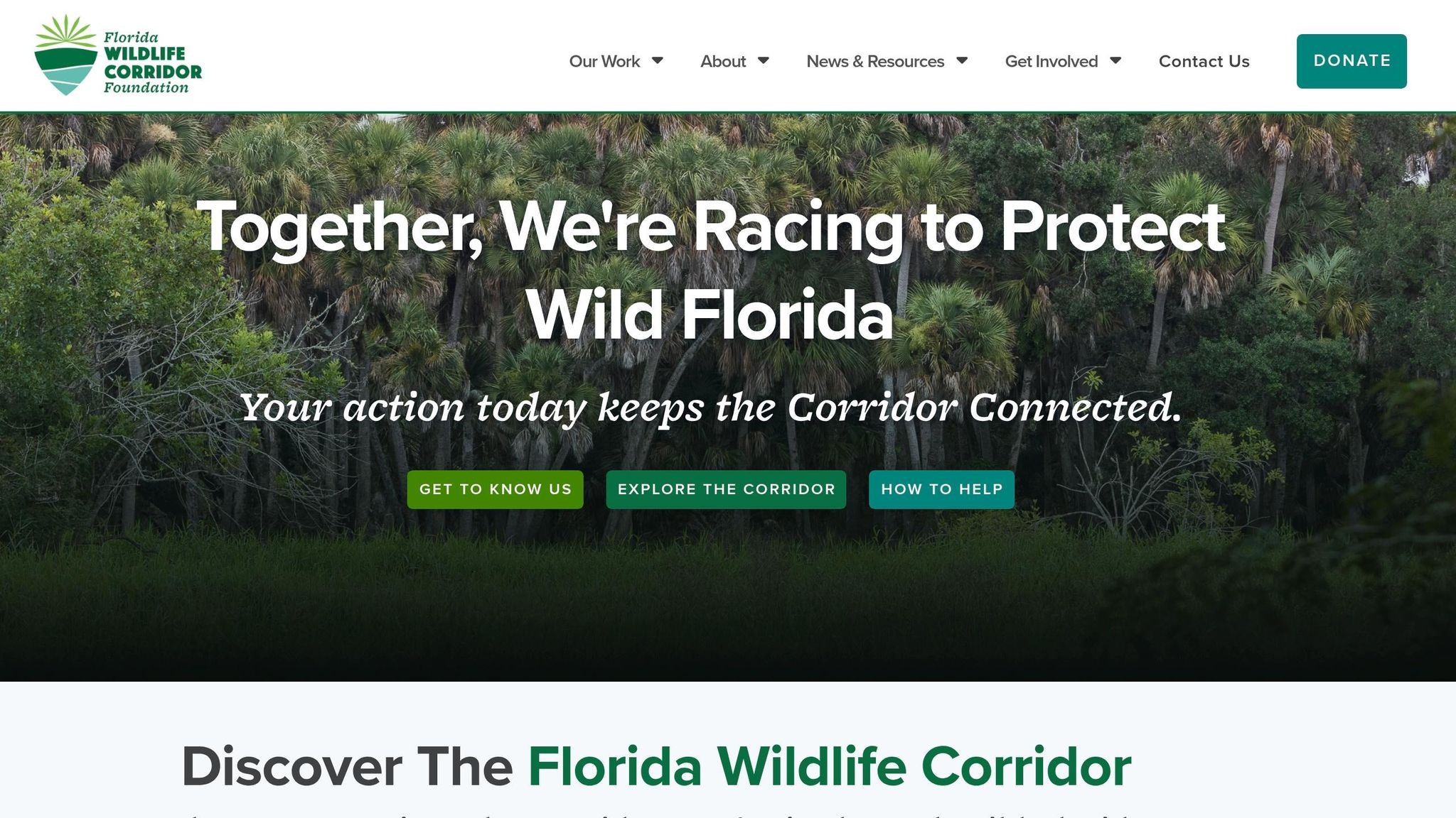 Florida Wildlife Corridor