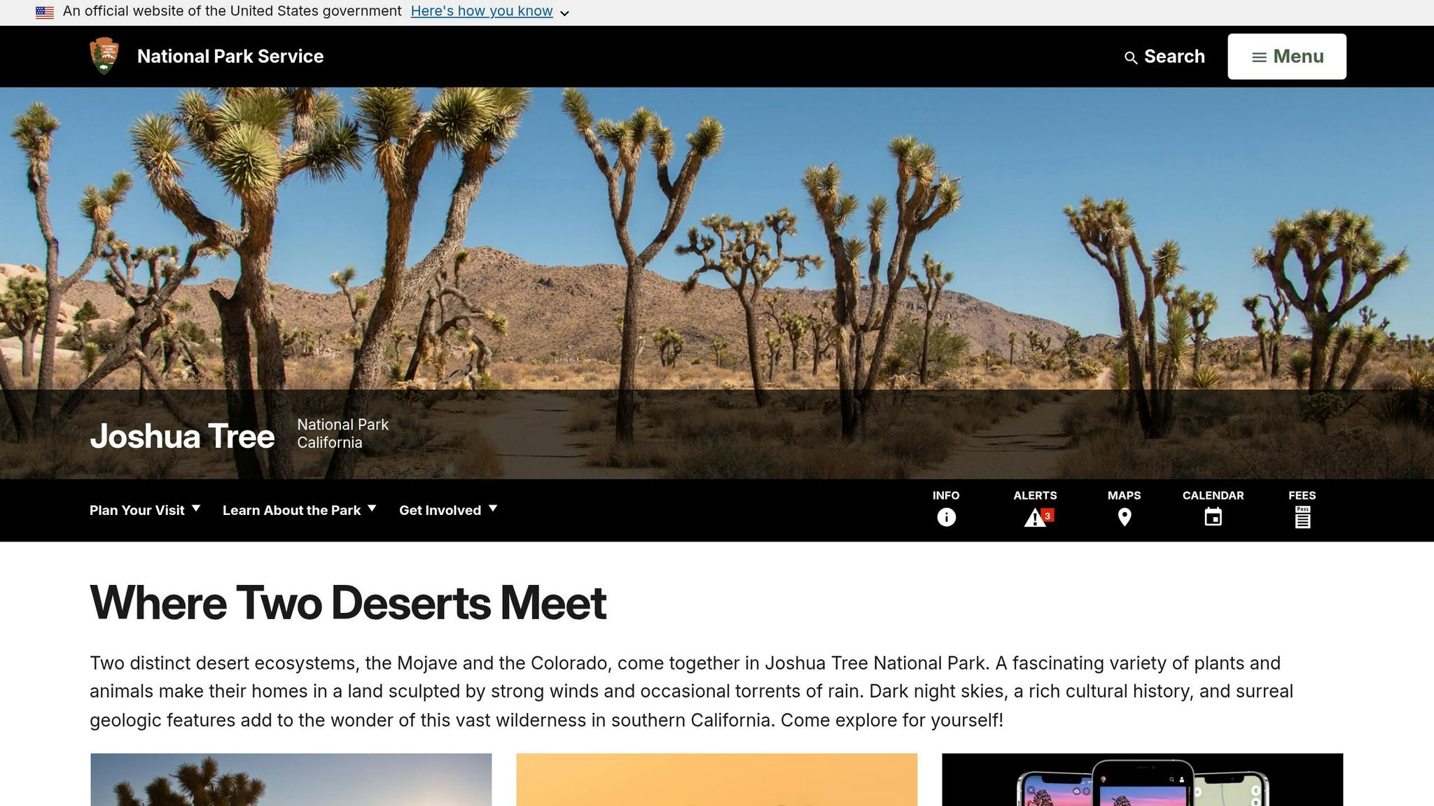 Joshua Tree National Park
