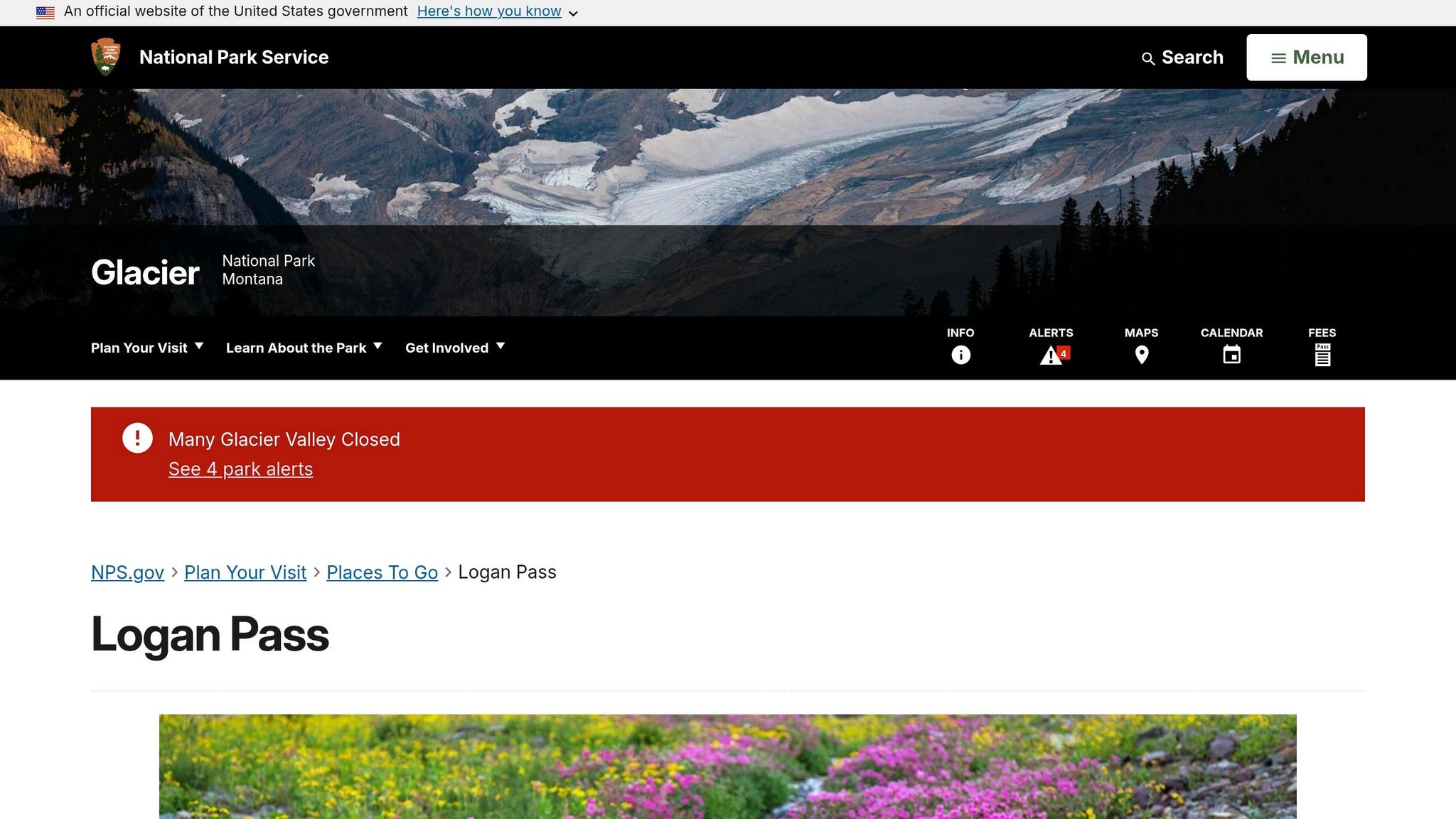 Logan Pass
