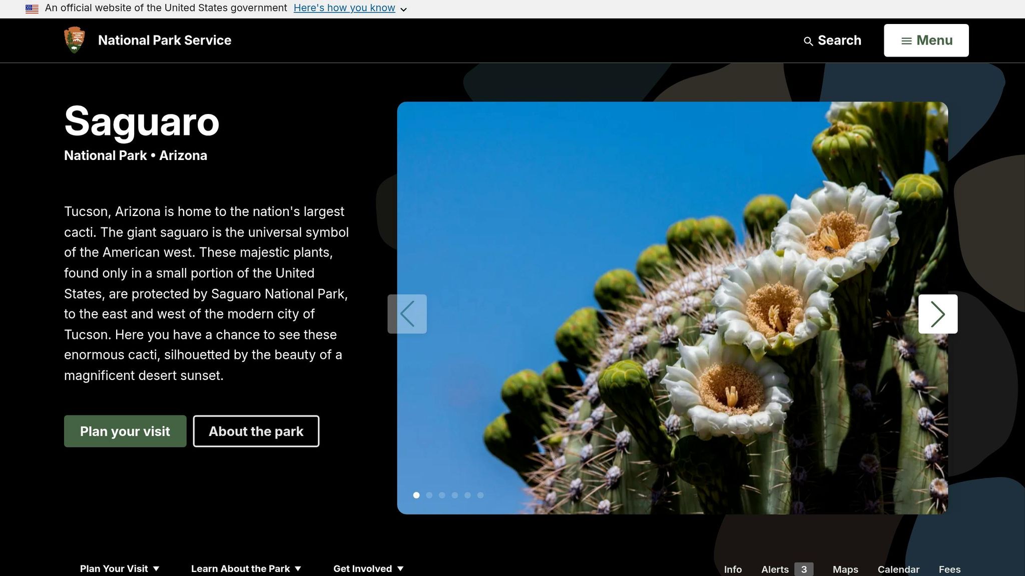 Saguaro National Park