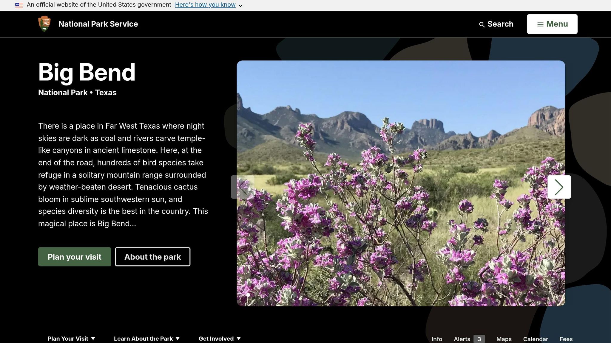 Big Bend National Park