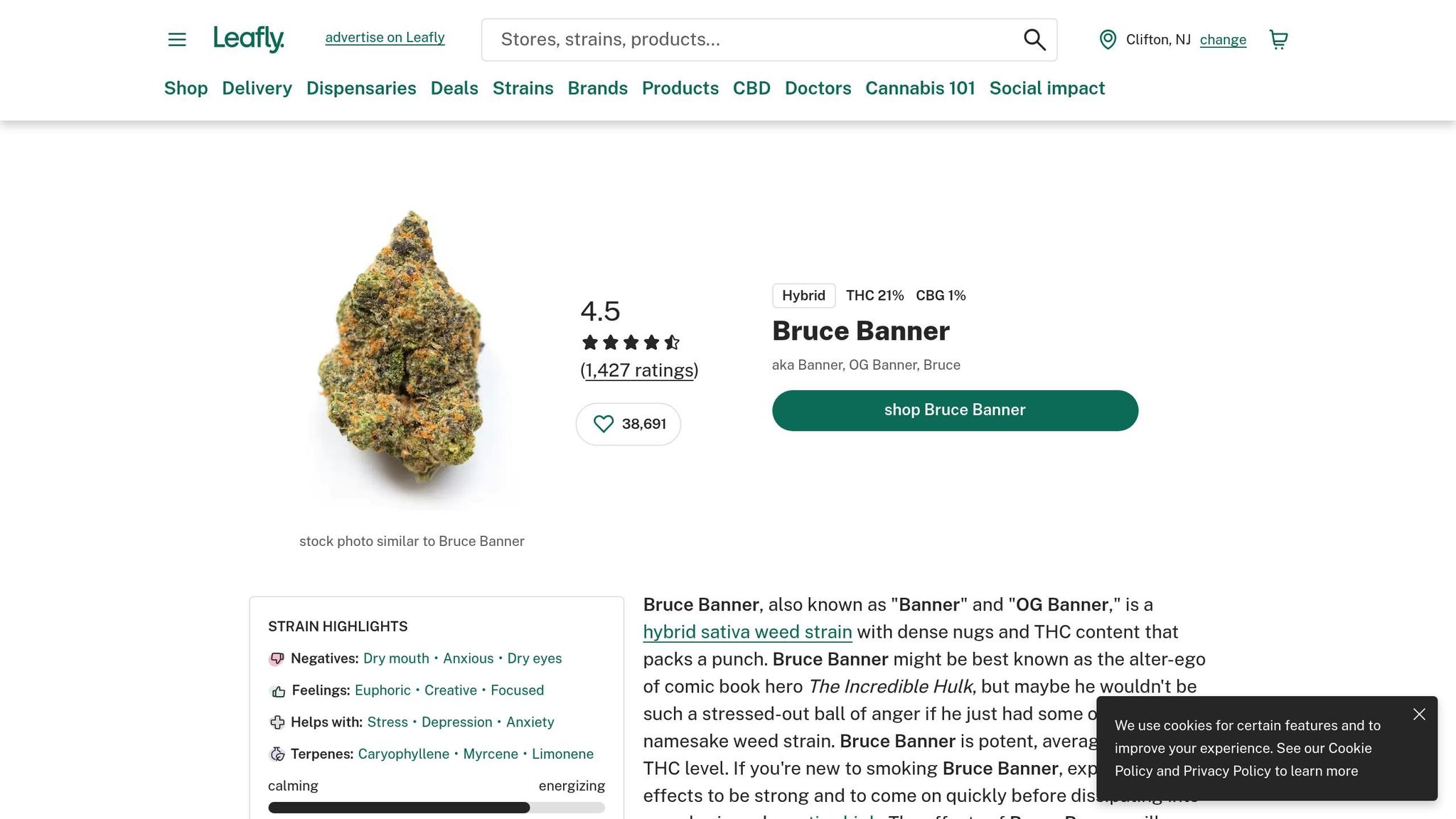 Bruce Banner