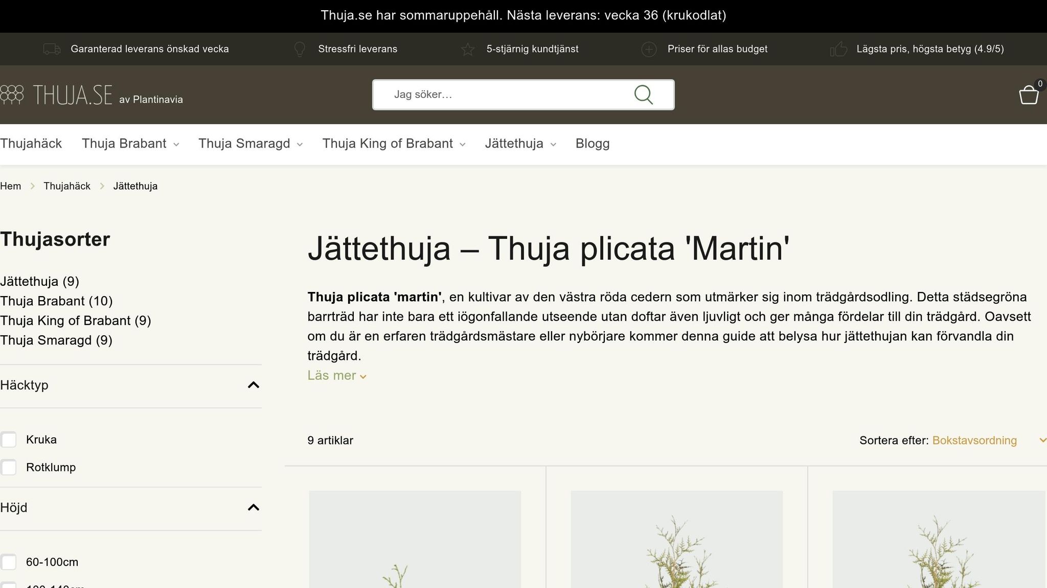 Thuja Plicata Martin