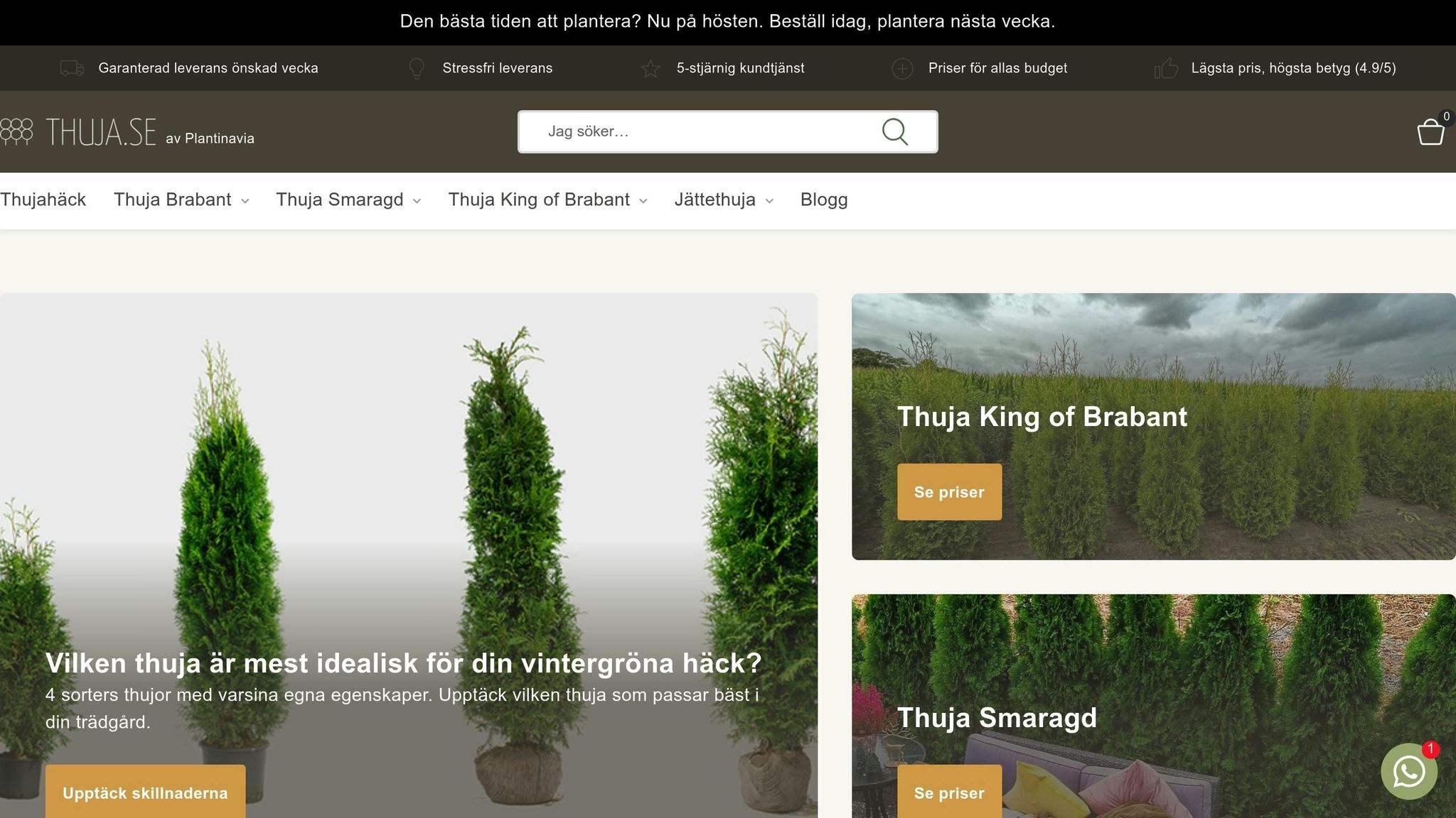 Thuja.se