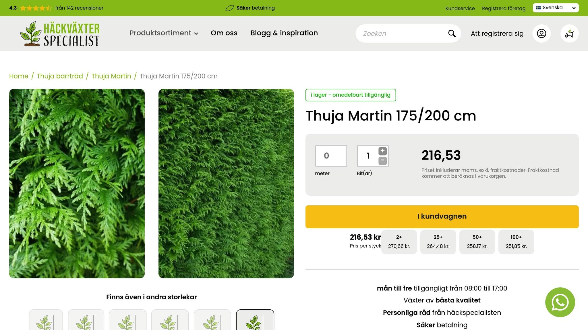 Thuja Martin
