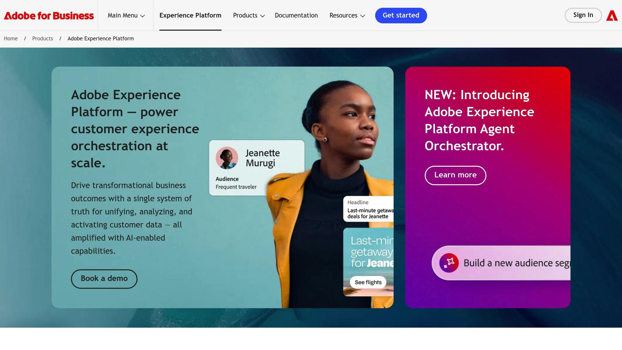 Adobe Experience Platform