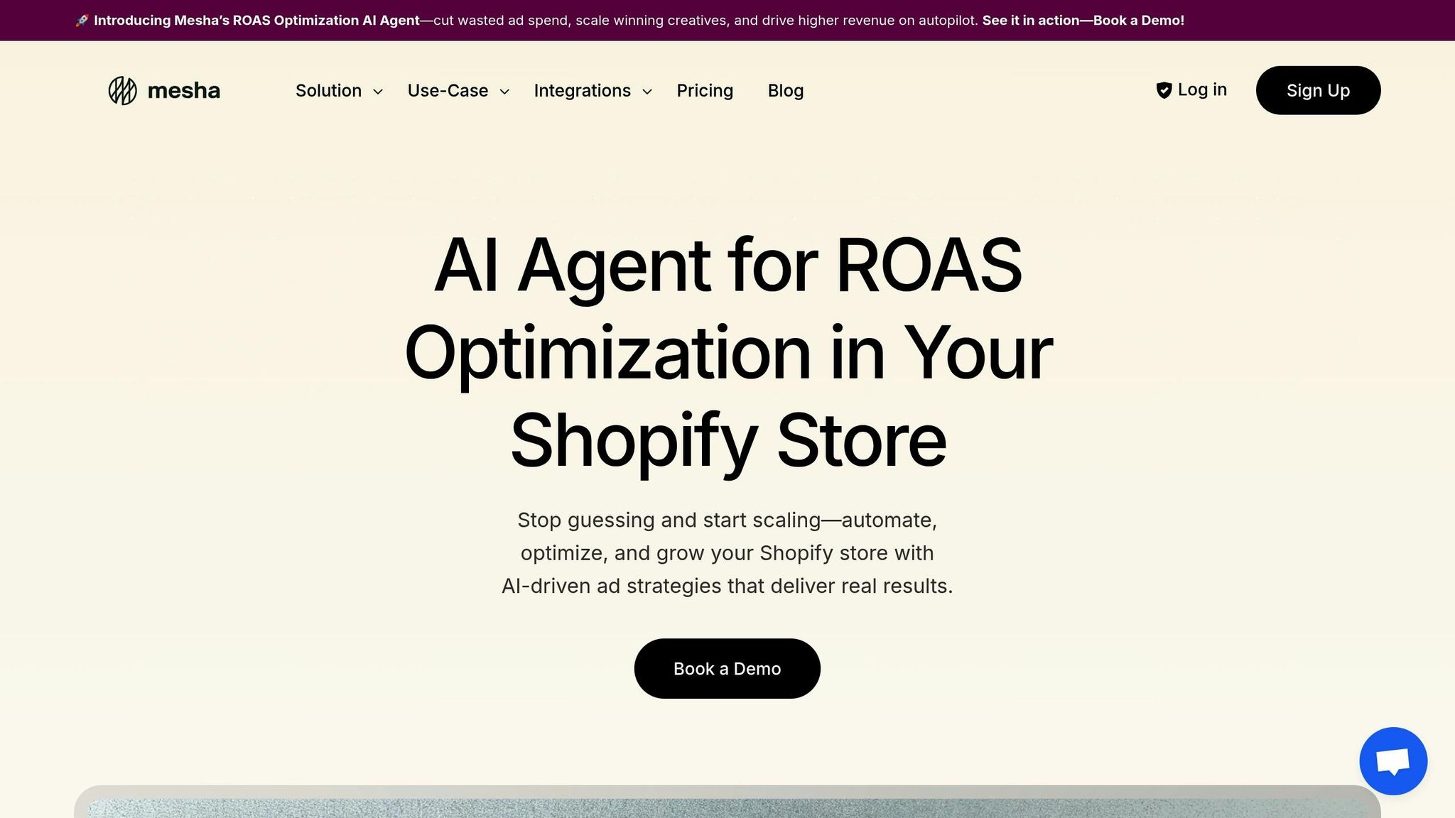 ROAS Optimization AI Agent