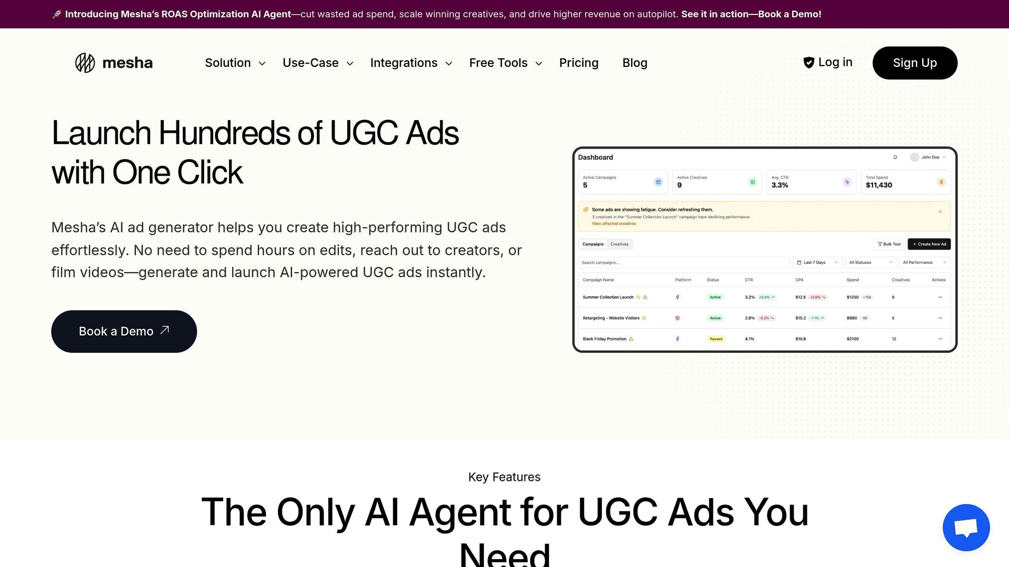 UGC Ads Agent