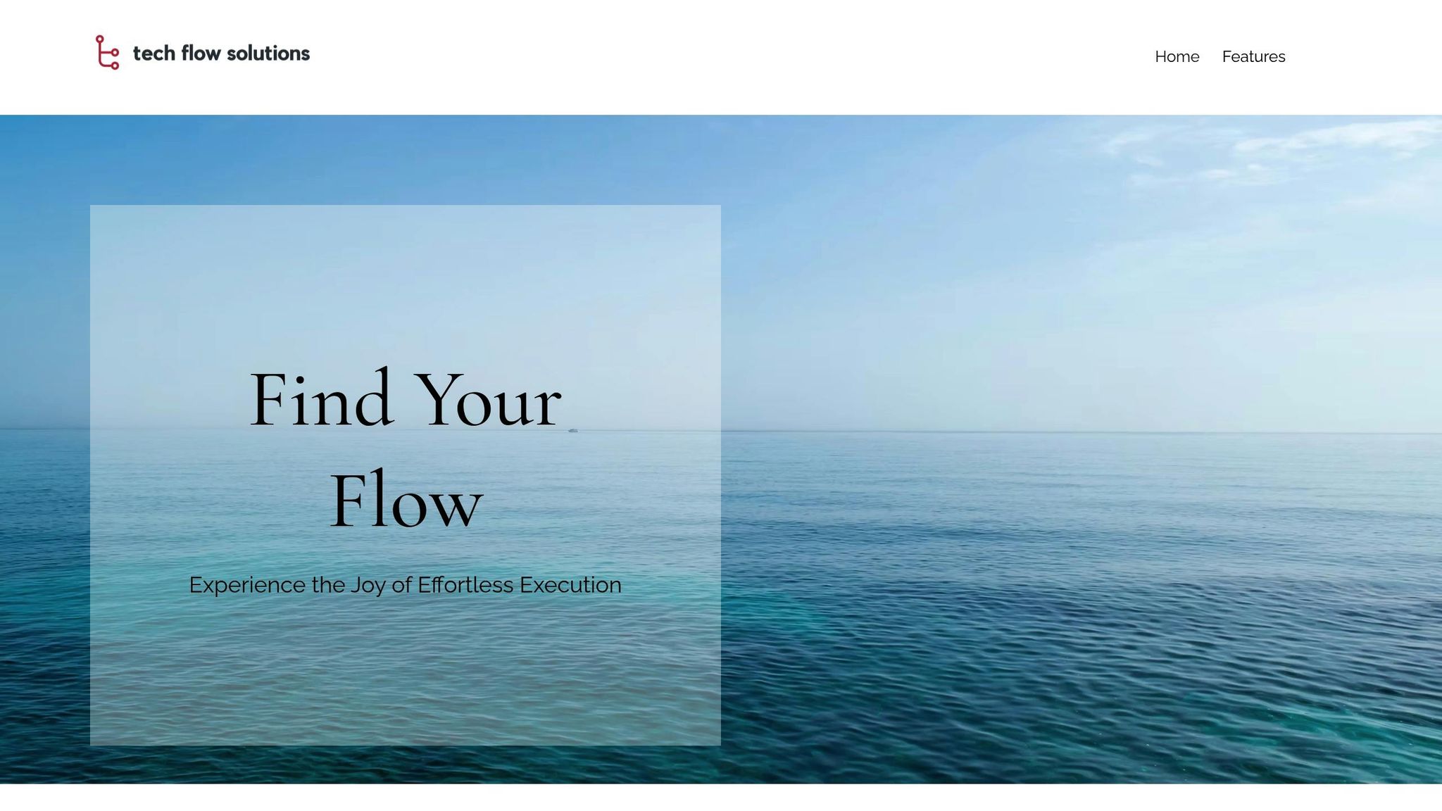 TechFlow Solutions