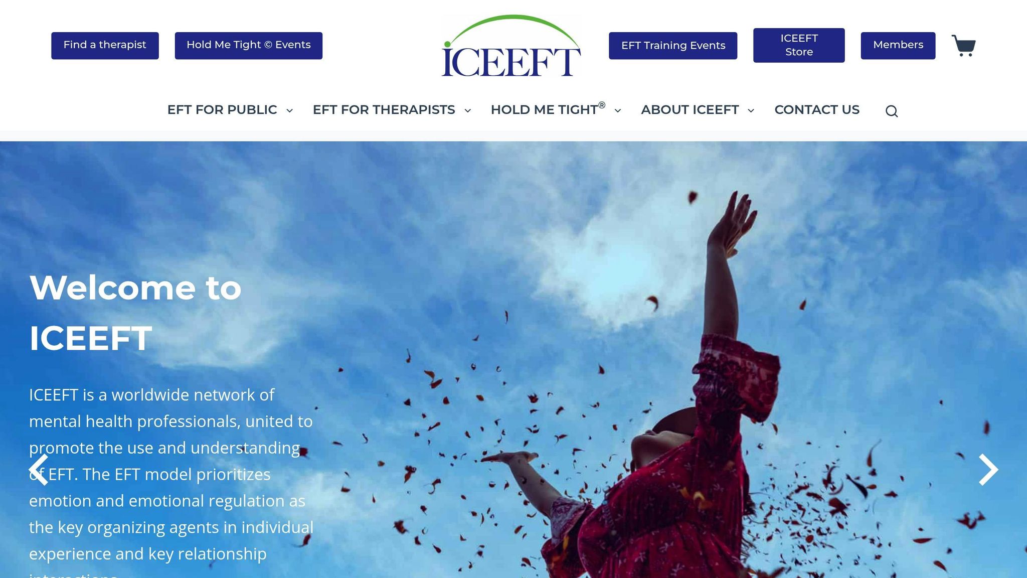Emotionally-Focused Therapy