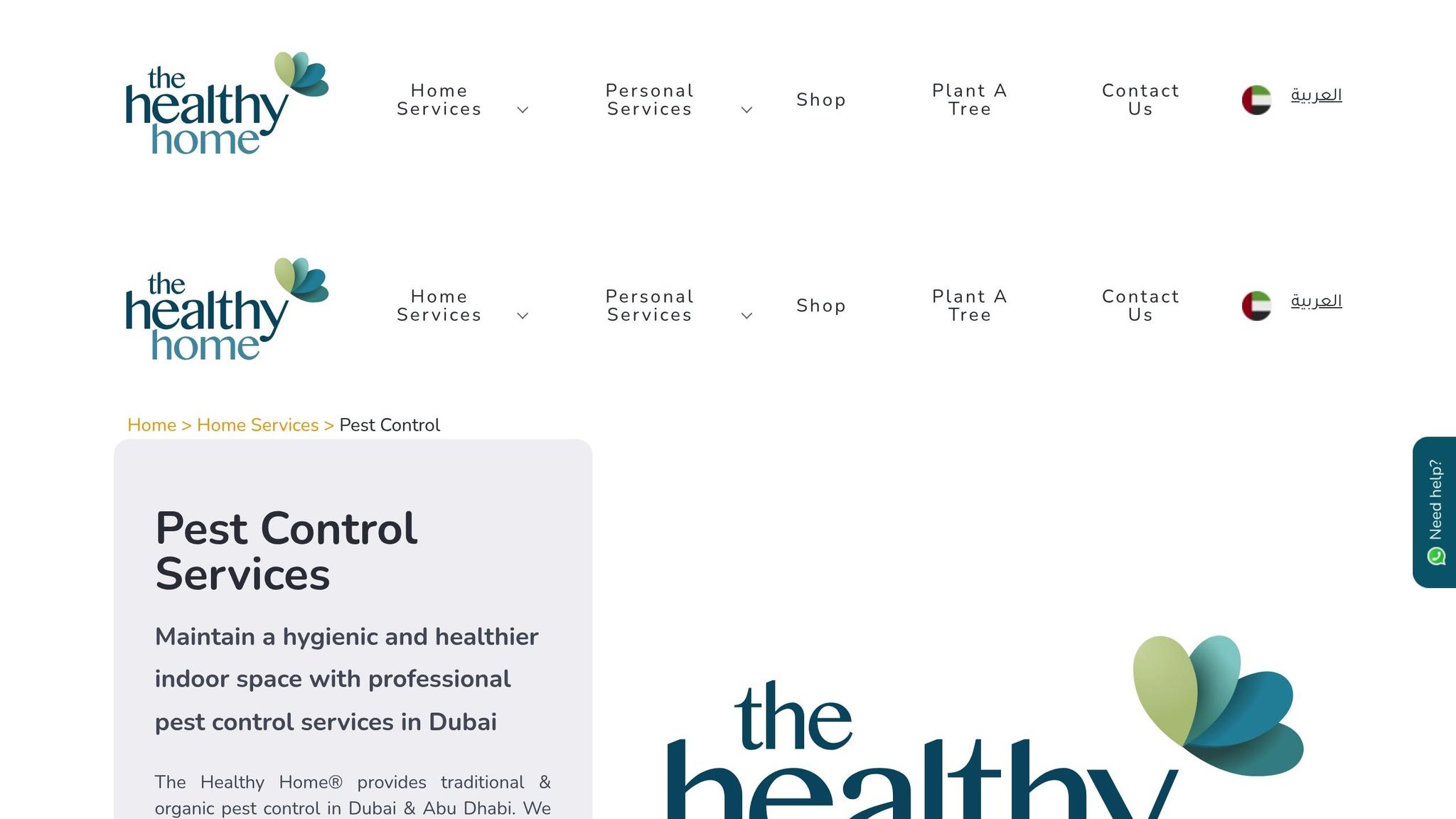 The Healthy Home