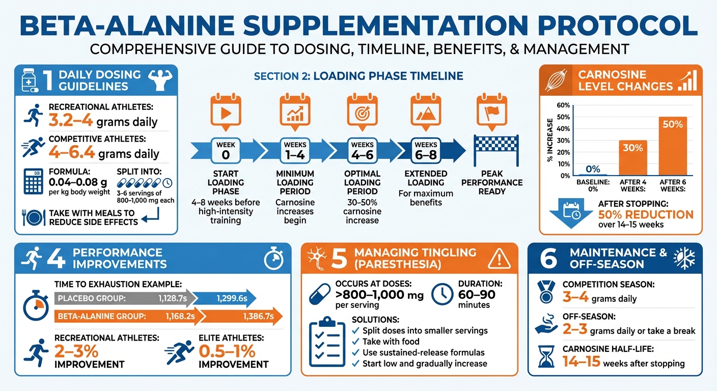 Beta-Alanine Dosing Protocol and Timeline for Athletes