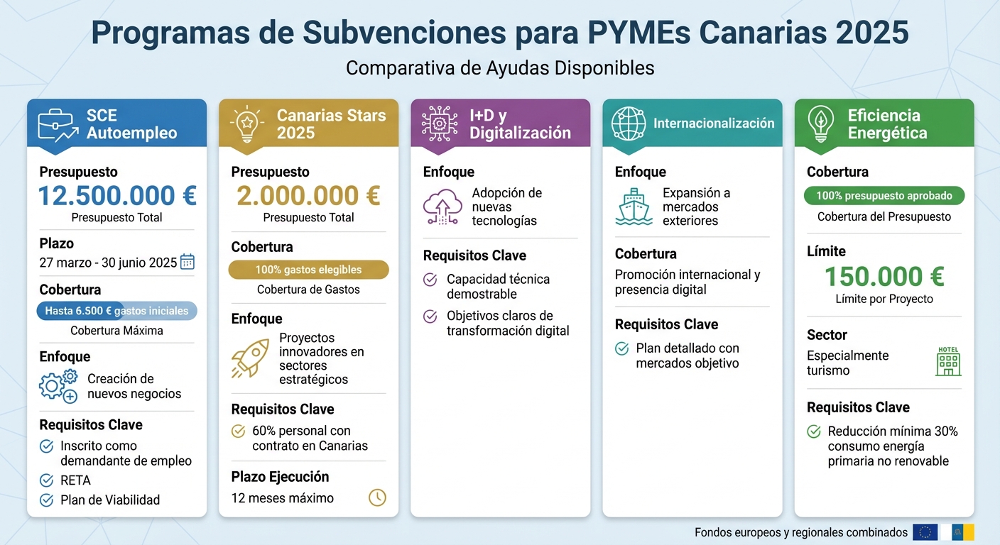 Principales Programas de Subvenciones para PYMEs Canarias 2025