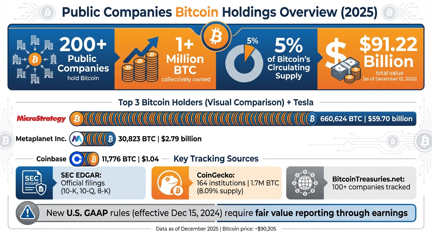 Public Companies Bitcoin Holdings Statistics and Top Holders 2025