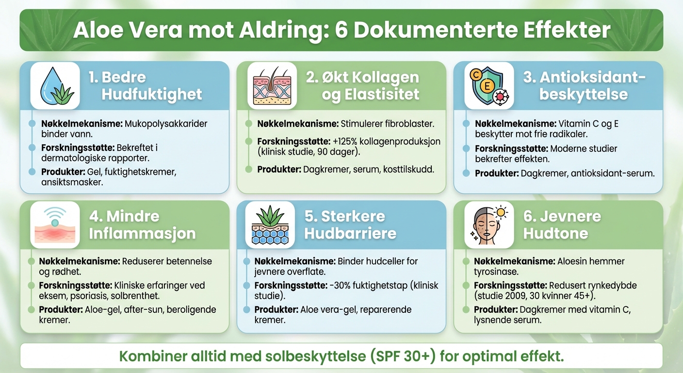 Aloe Vera mot Aldring: 6 Dokumenterte Effekter og Virkningsmekanismer