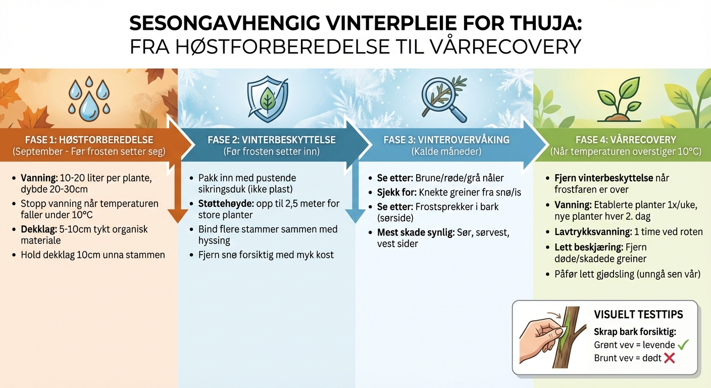 Seasonal Care Guide for Thuja Plants Through Winter