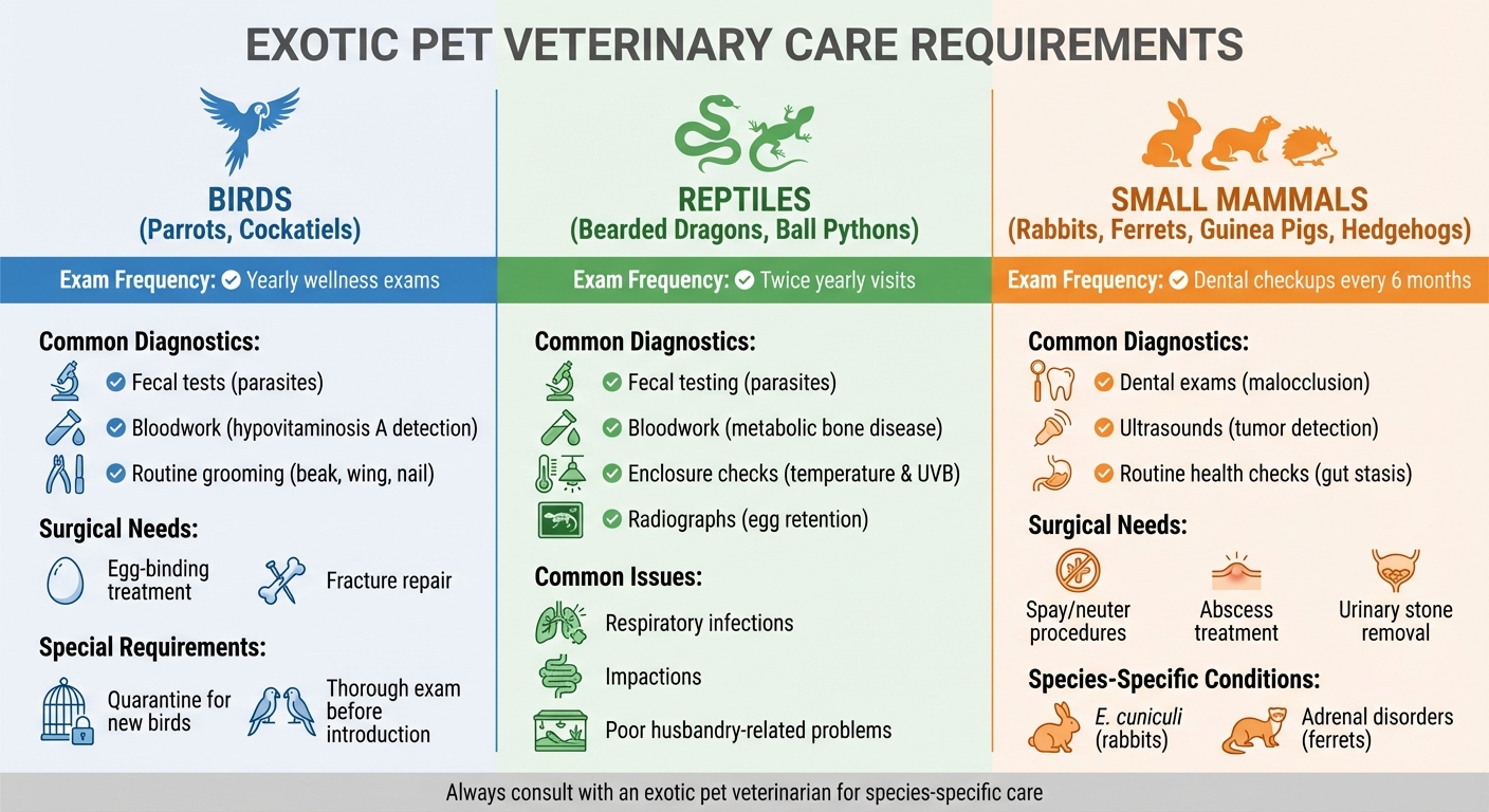 Exotic Pet Veterinary Care Requirements by Species