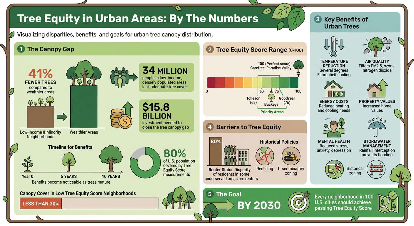 Tree Equity Statistics: Canopy Gaps and Benefits in Urban Areas