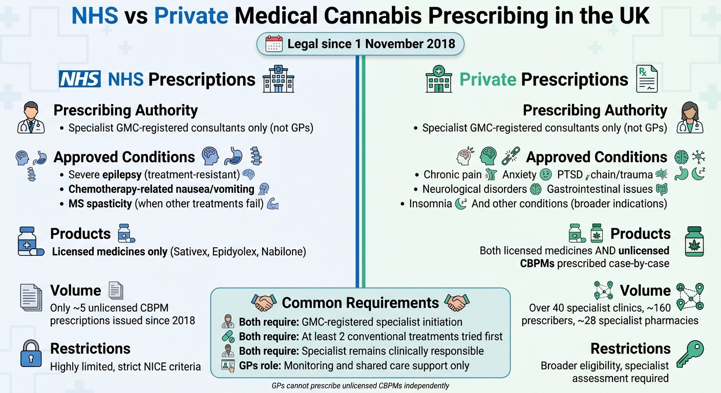 NHS vs Private Medical Cannabis Prescribing in the UK: Key Differences
