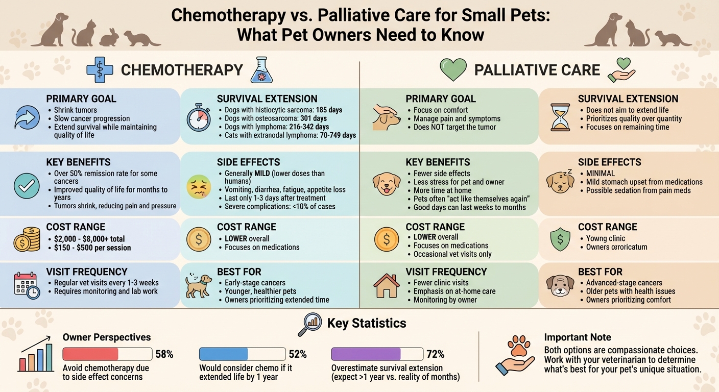 Chemotherapy vs Palliative Care for Small Pets: Complete Comparison Guide